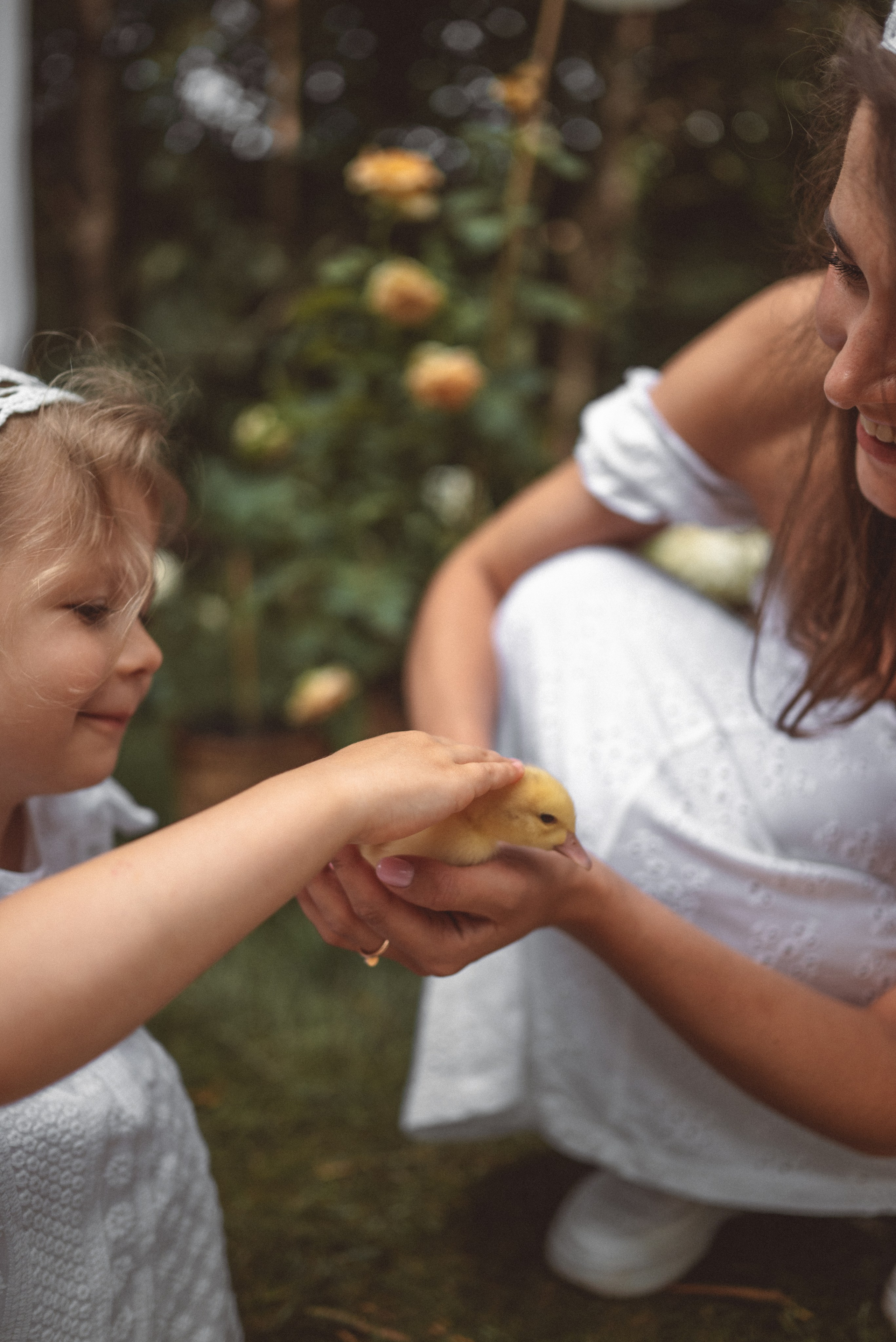 Утиная история. Семейный и детский фотограф в Москве Князева Диана