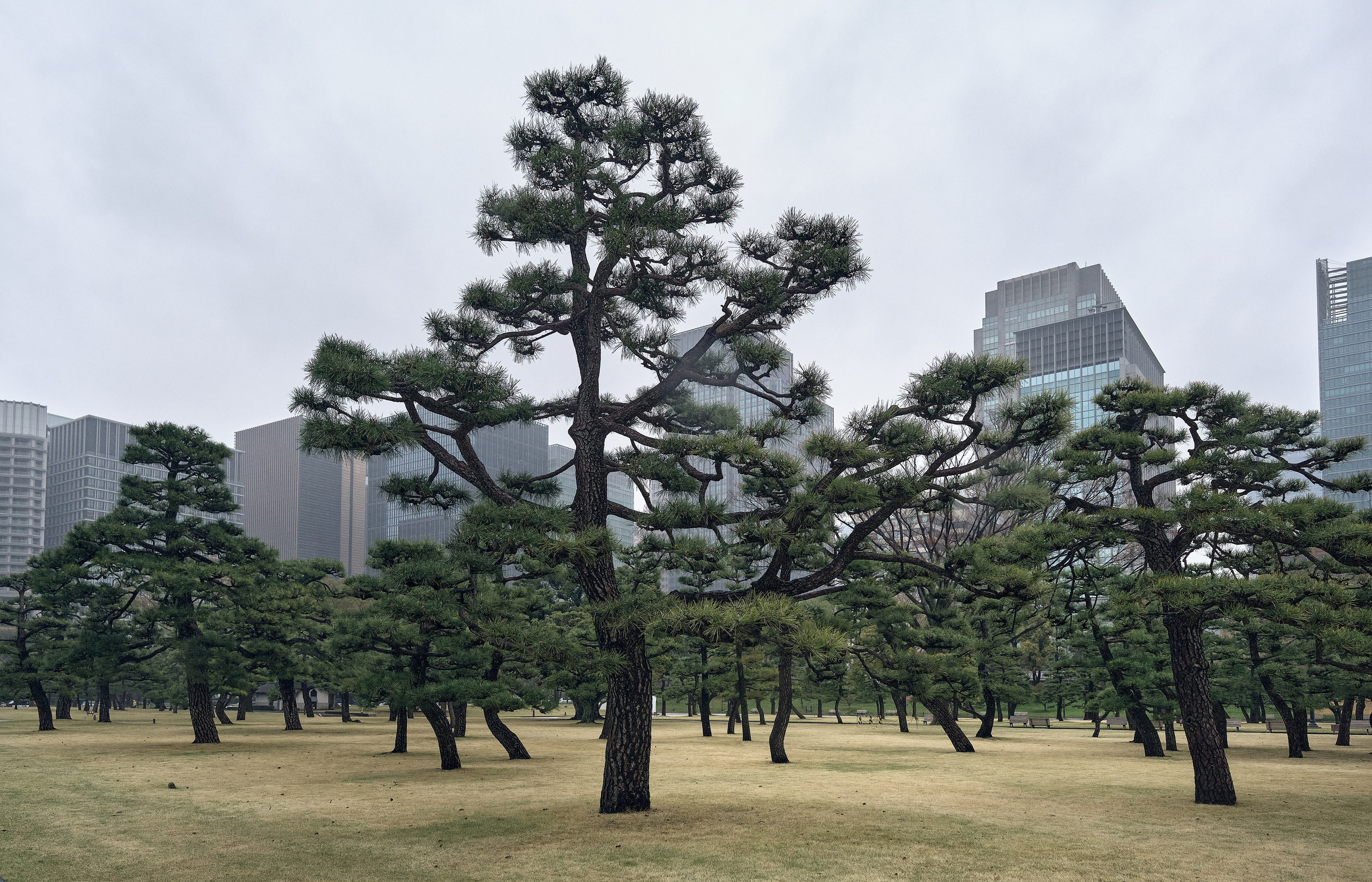 Japan / Osaka≫Kyoto≫Tokyo. Aleksandr Kobtsev