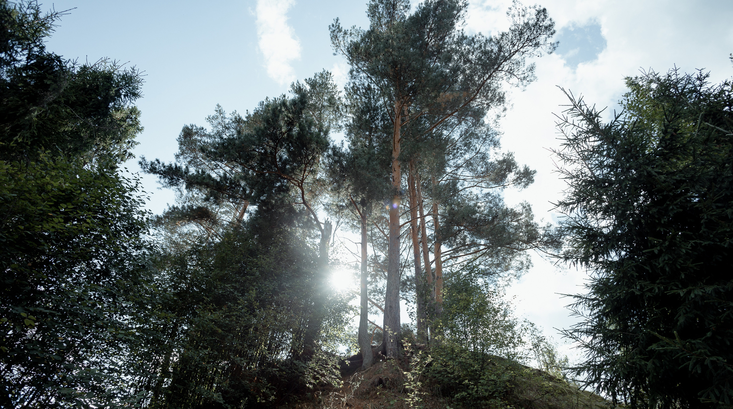 14.08.21 Wedding day. Свадебный фотограф Дмитрий Воробьев Москва Ярославль