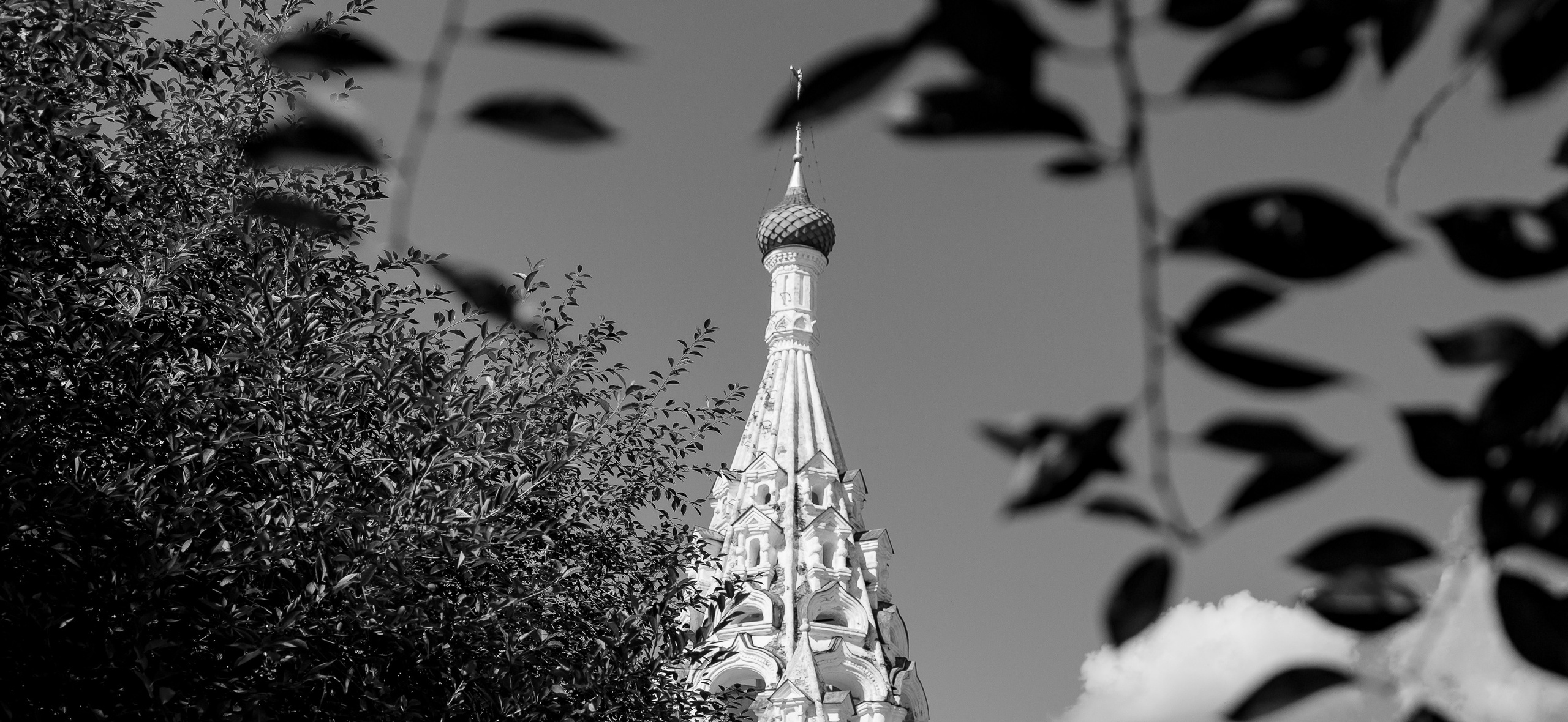 14.08.21 Wedding day. Свадебный фотограф Дмитрий Воробьев Москва Ярославль