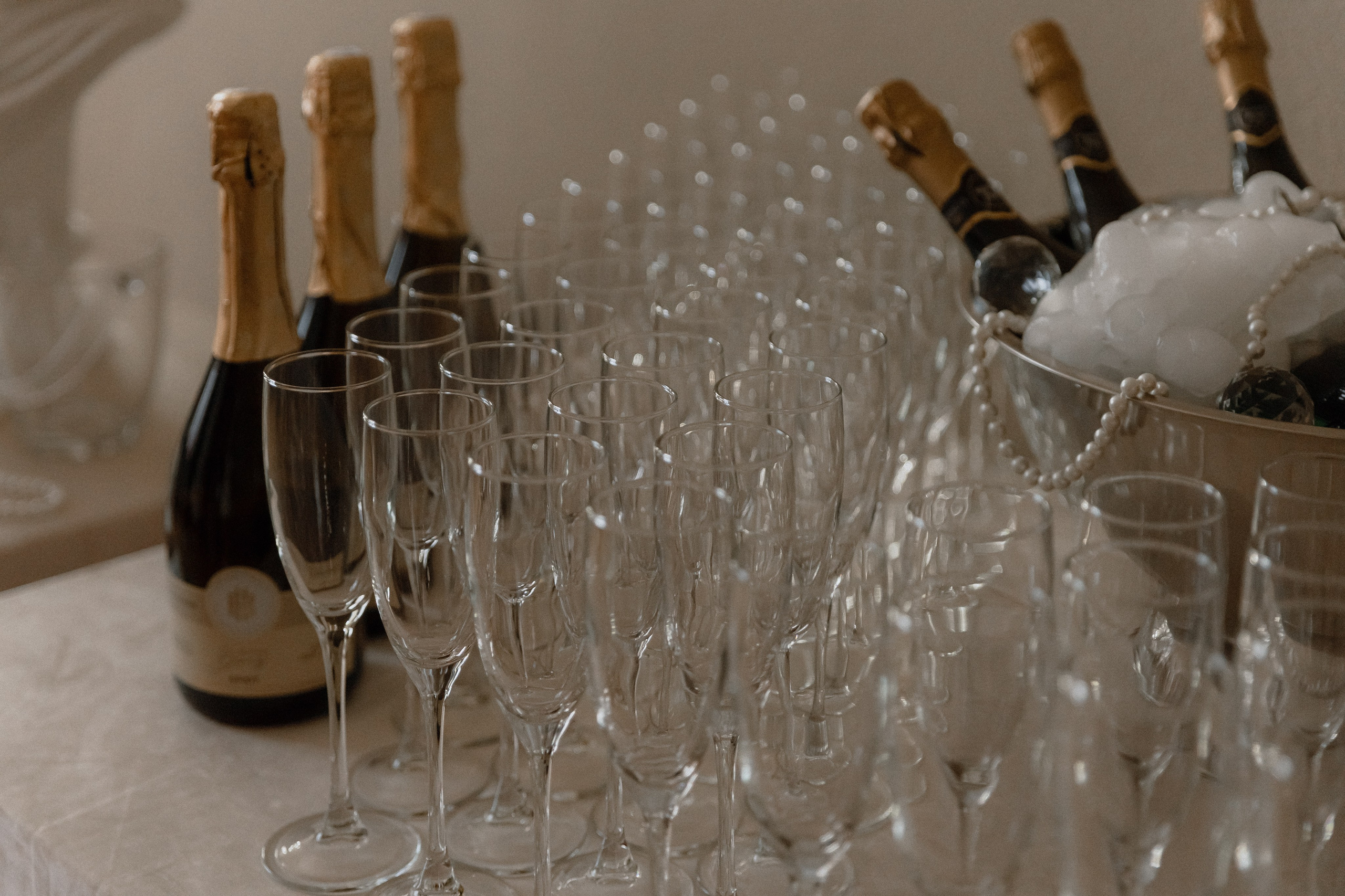 Особняк открытие. Фотограф Яна Белая