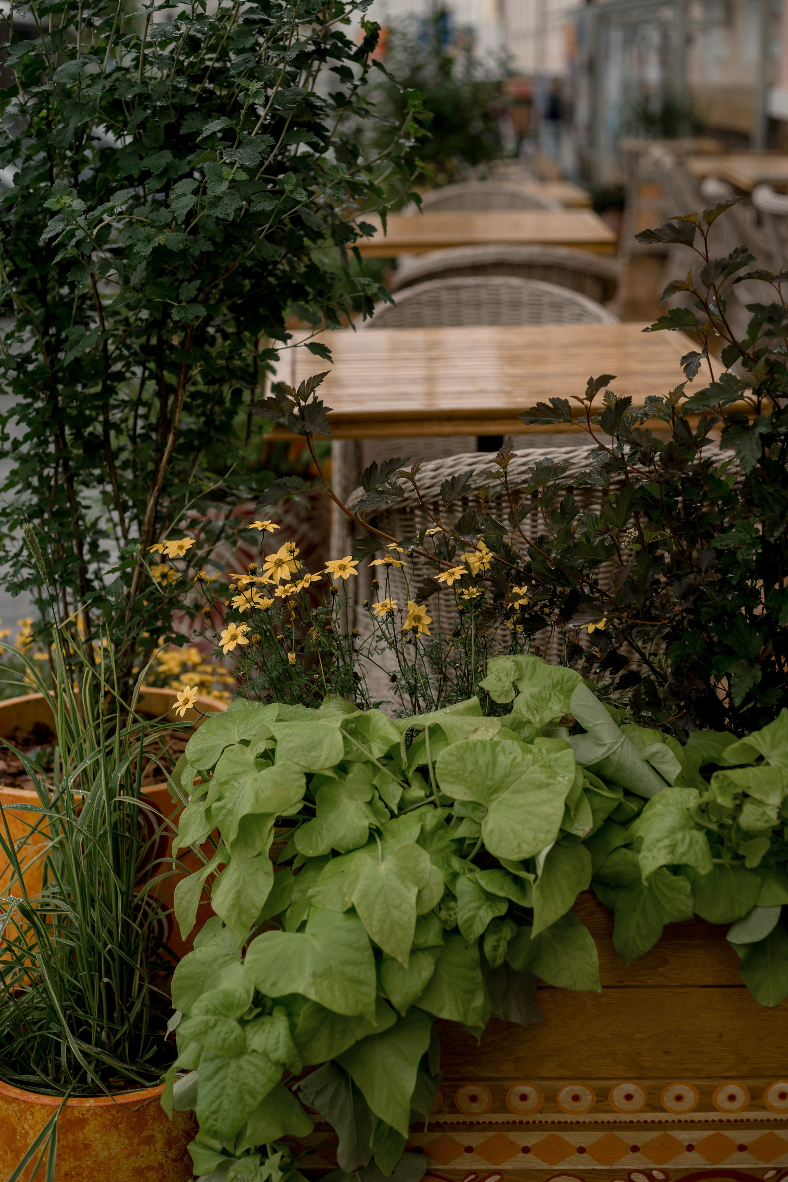 Фотомедитация с Марией Гулыниной. Контент-фотограф в Нижнем Новгороде Антошина Ольга