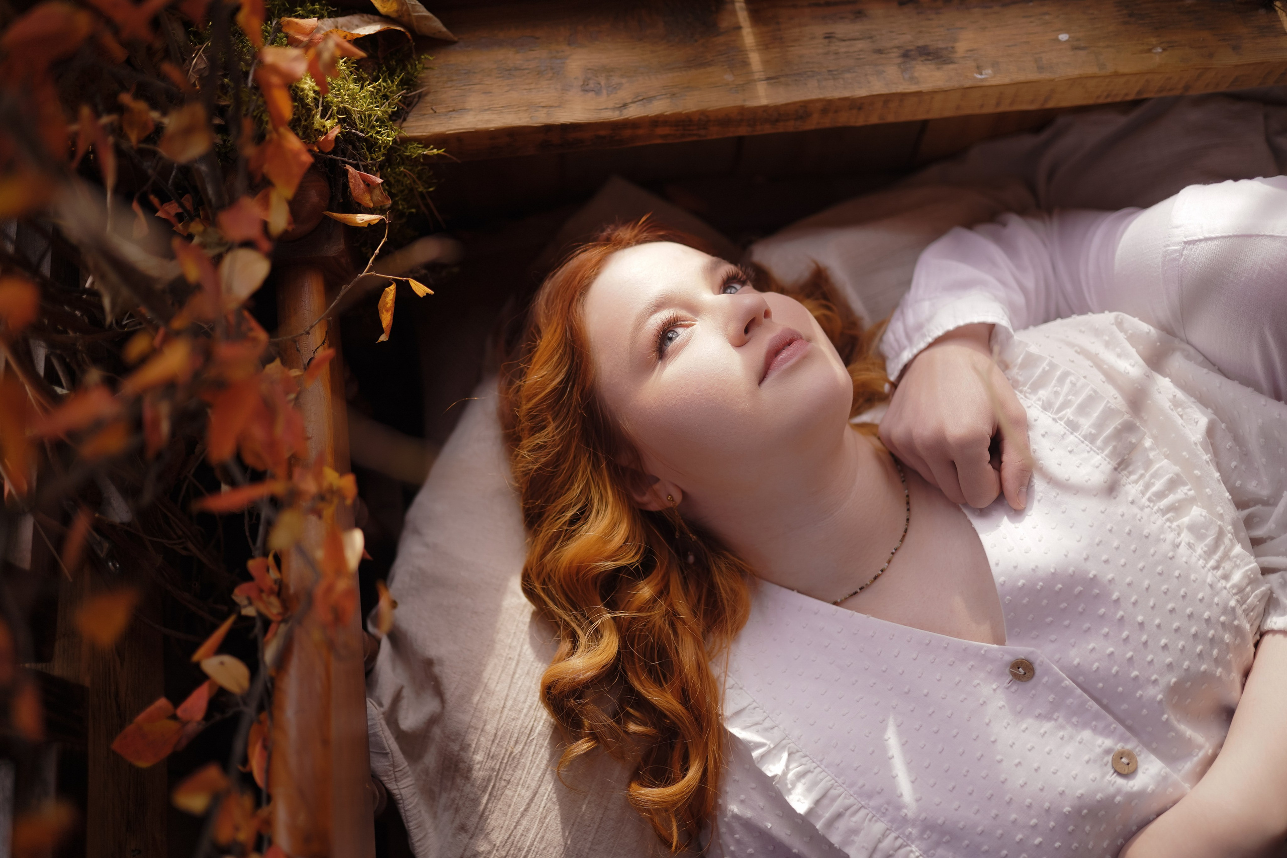 Домик на дереве