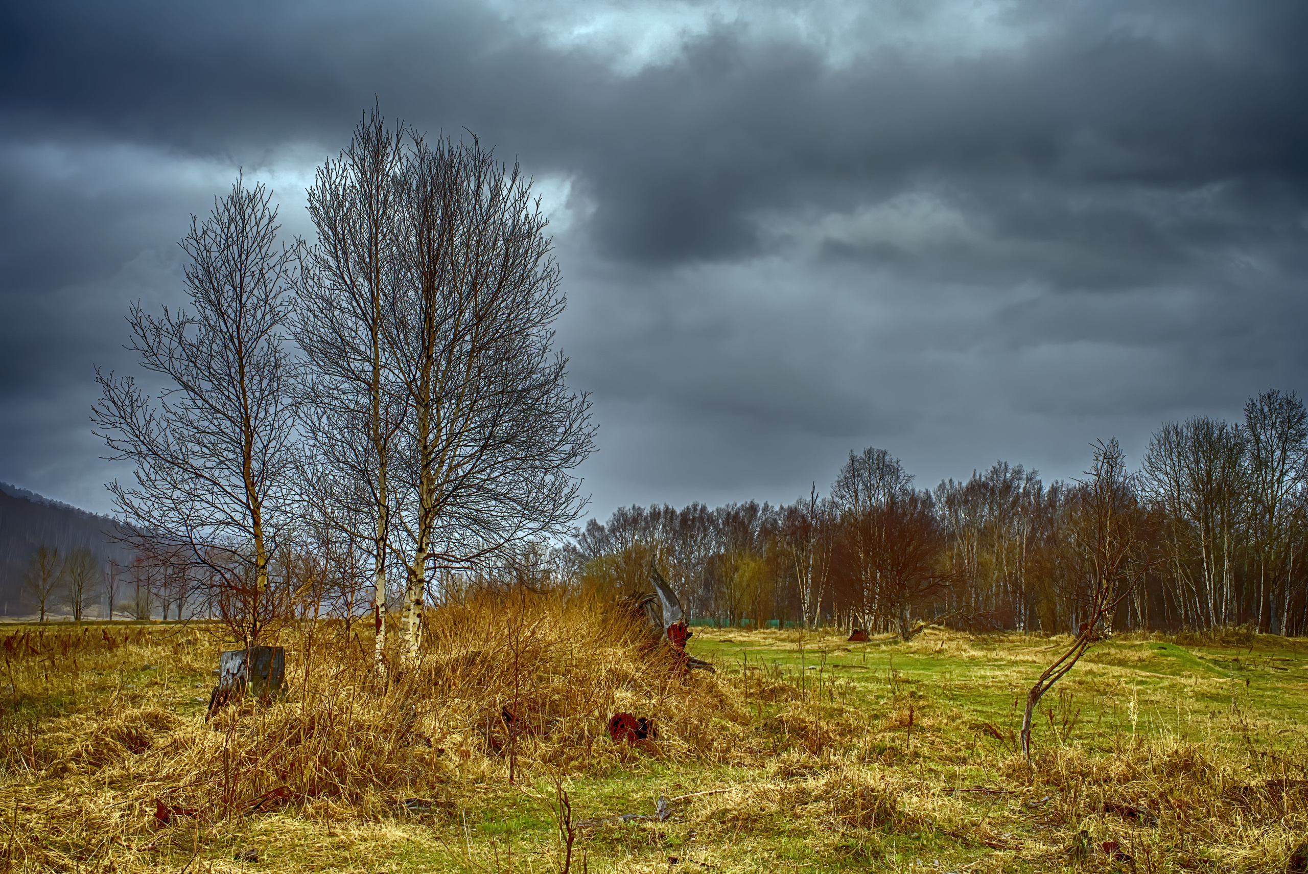 Фотограф Ворошилов Дмитрий. Эссо. Камчатка