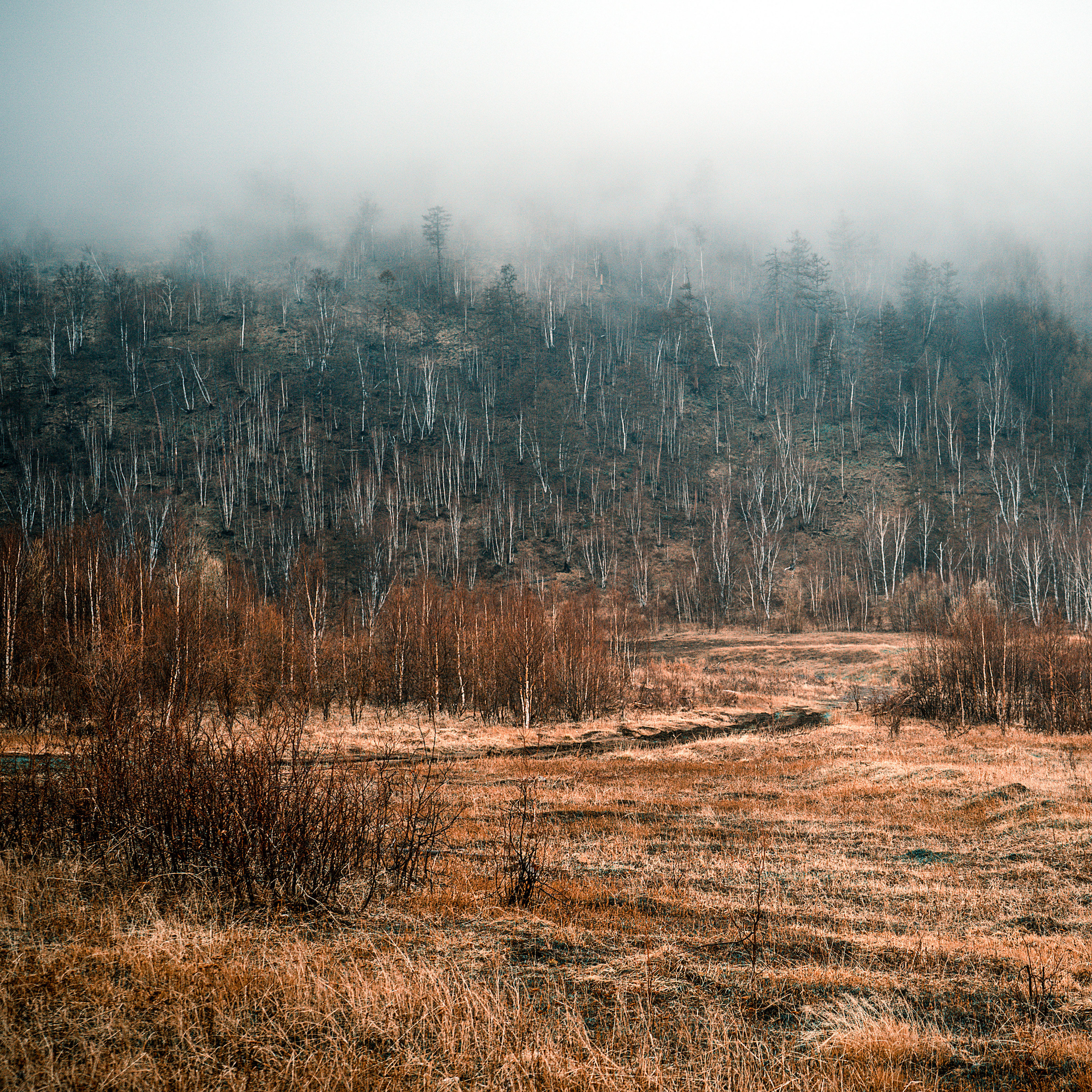 Фотограф Ворошилов Дмитрий. Эссо. Камчатка