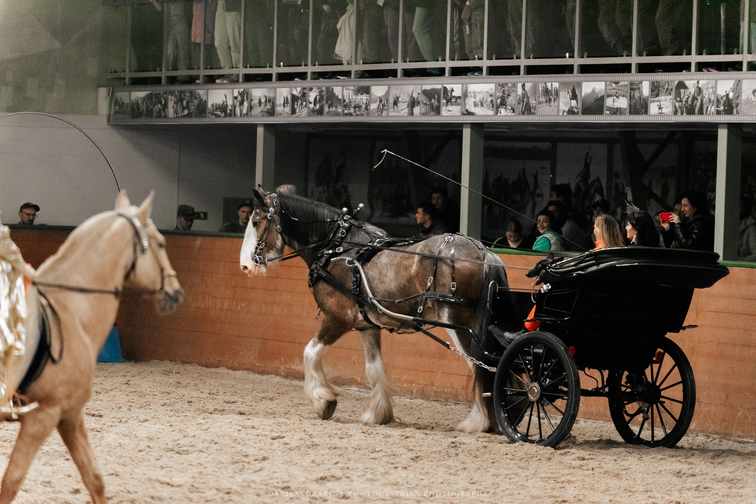 Конное представление «Дыхание Звёзд». Конный фотограф Куракина Дарья • Фотосессии с лошадьми