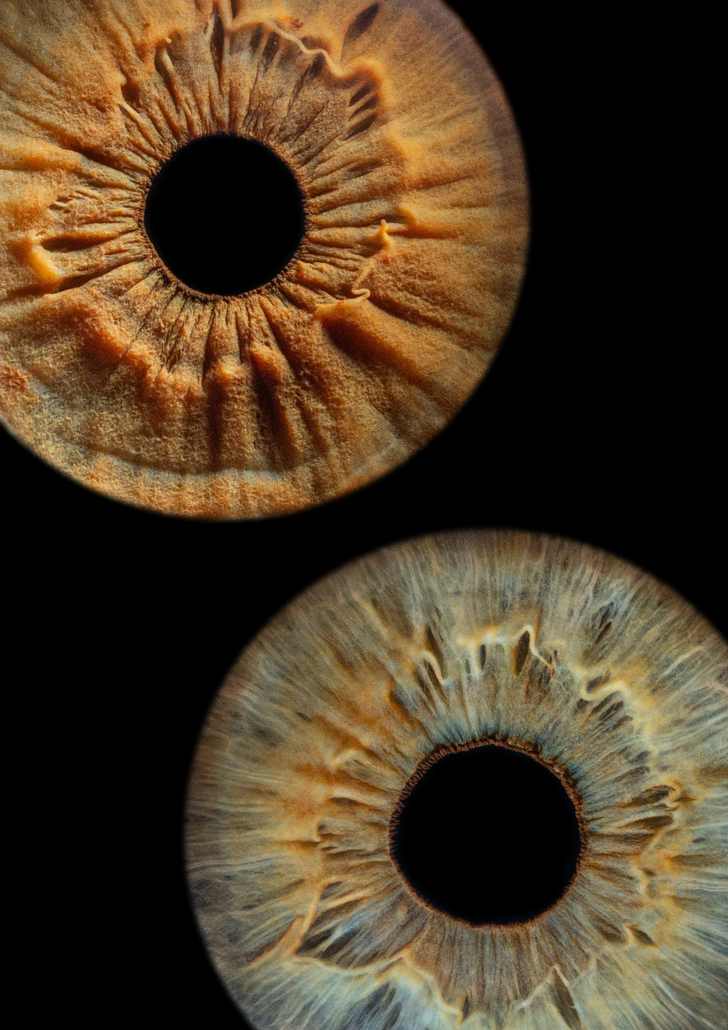 фотография радужки глаза Хабаровск фото радужки глаза Хабаровск