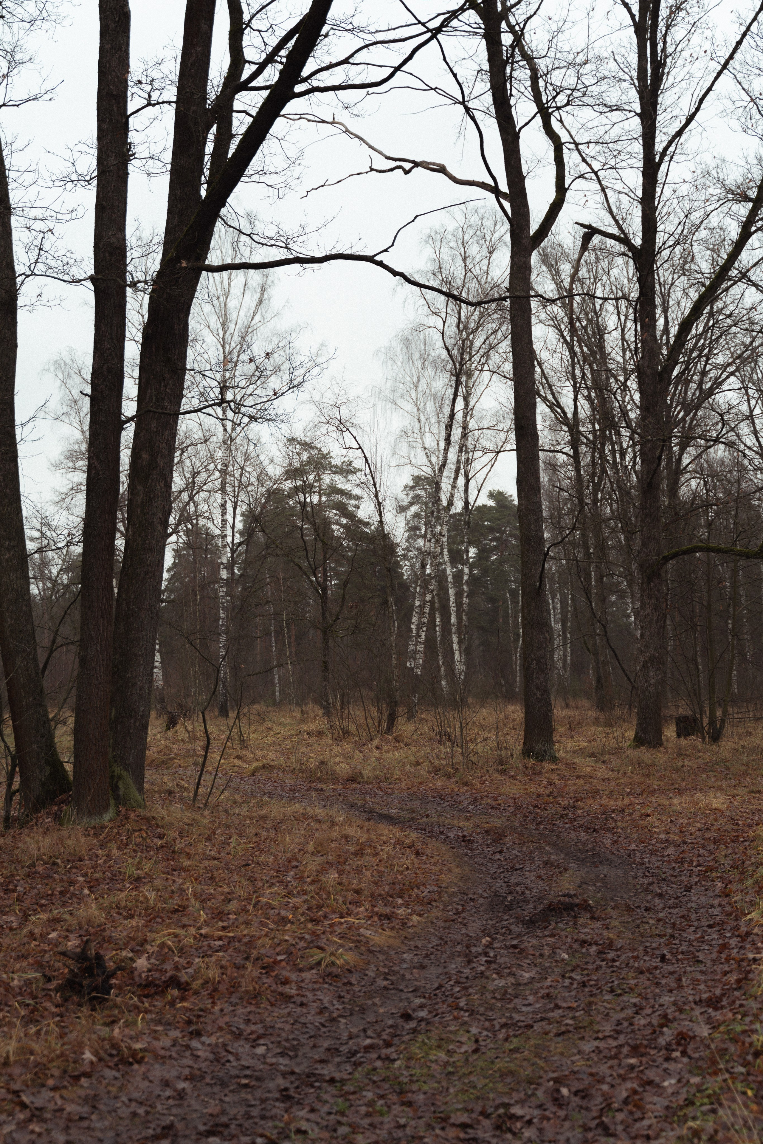 За гранью времен…. FotoTanya. Раменское/Жуковский/Бронницы