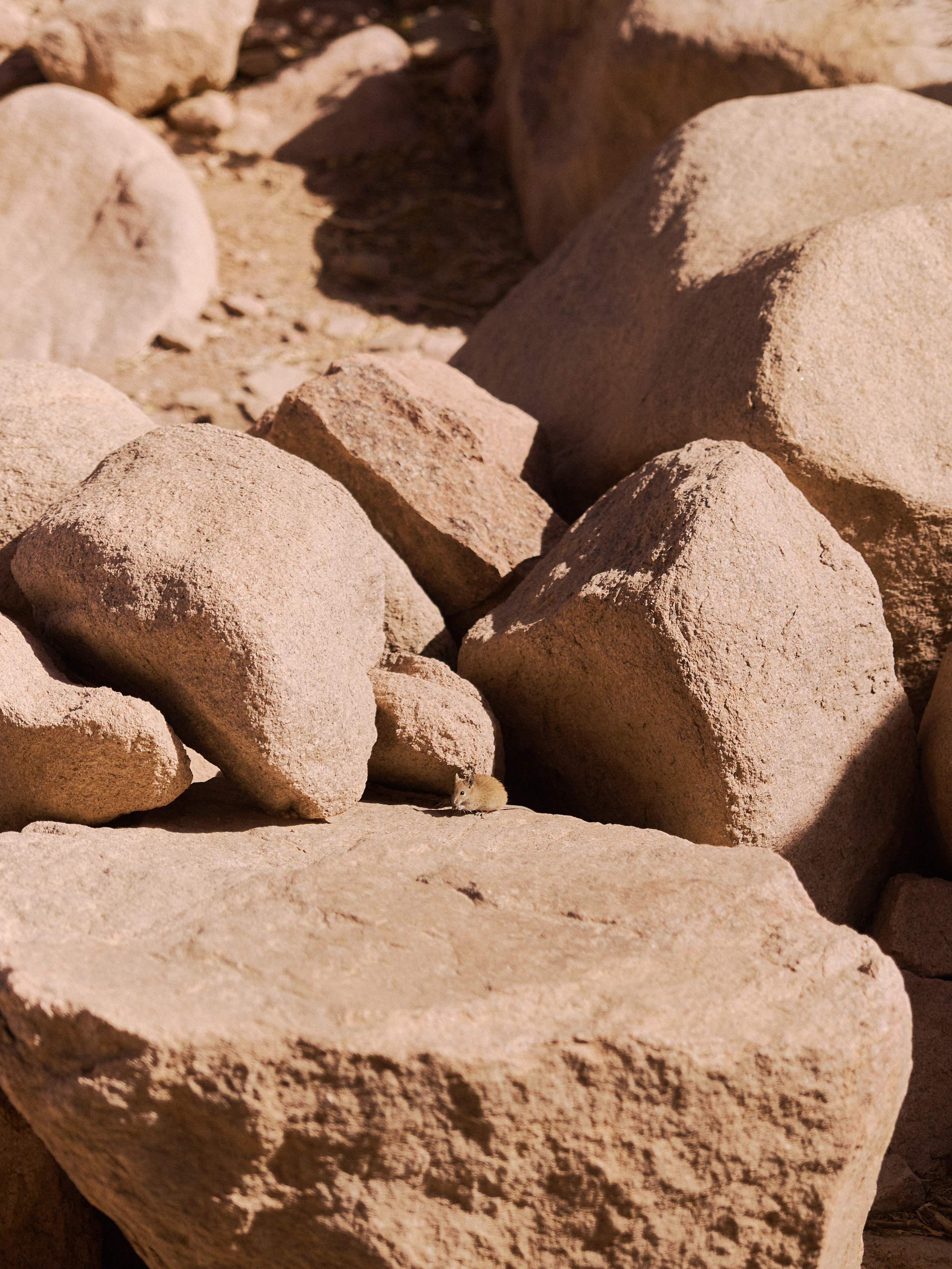 Другое 2. Jorgis Talè — photographer, kind person, teacher of arts and other mag