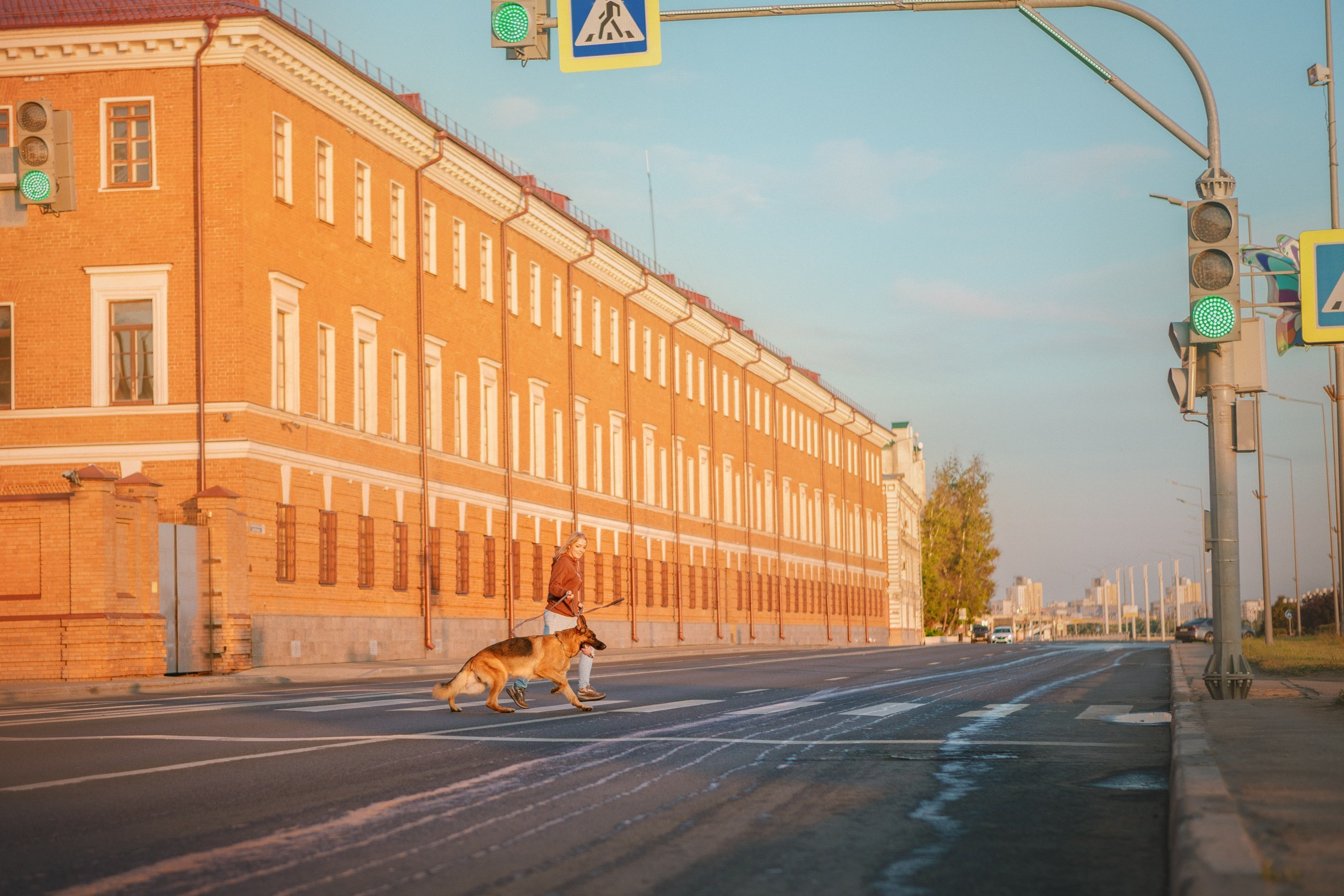 НО Расмус. Рассвет. Фотограф анималист Кузнецова Анна Нижний Новгород