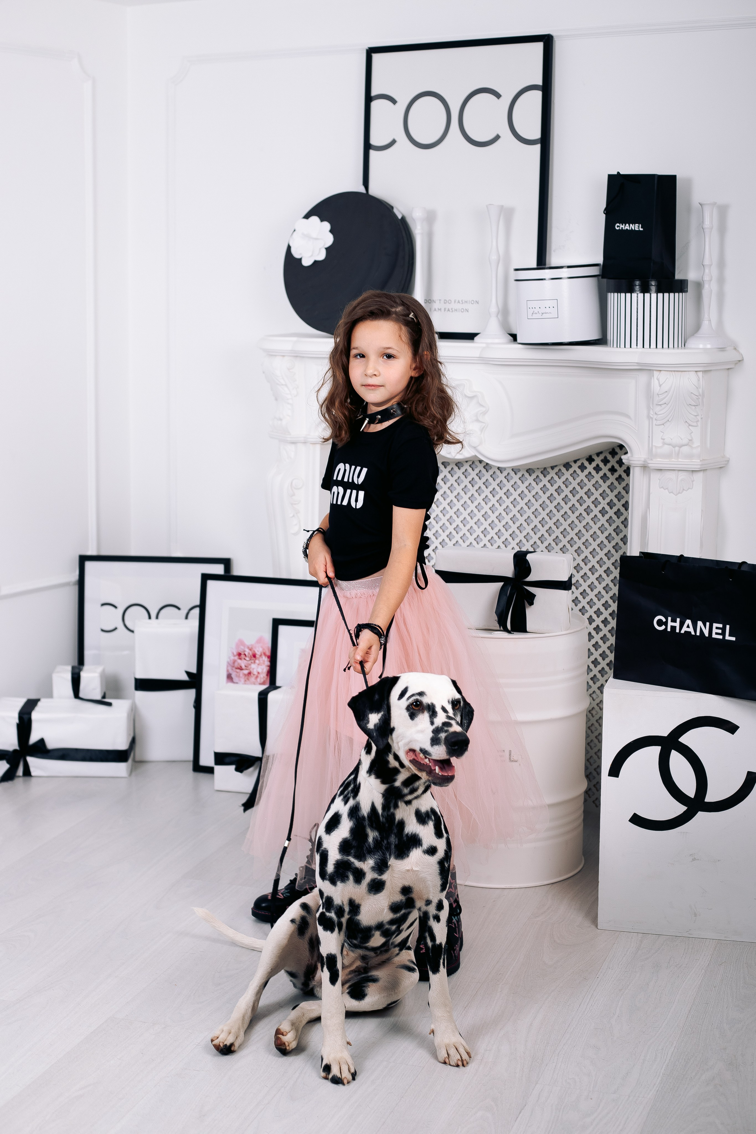 Фотосессия с далматинцами в фотостудии. Фотограф в Санкт-Петербурге, Анна Скворцова