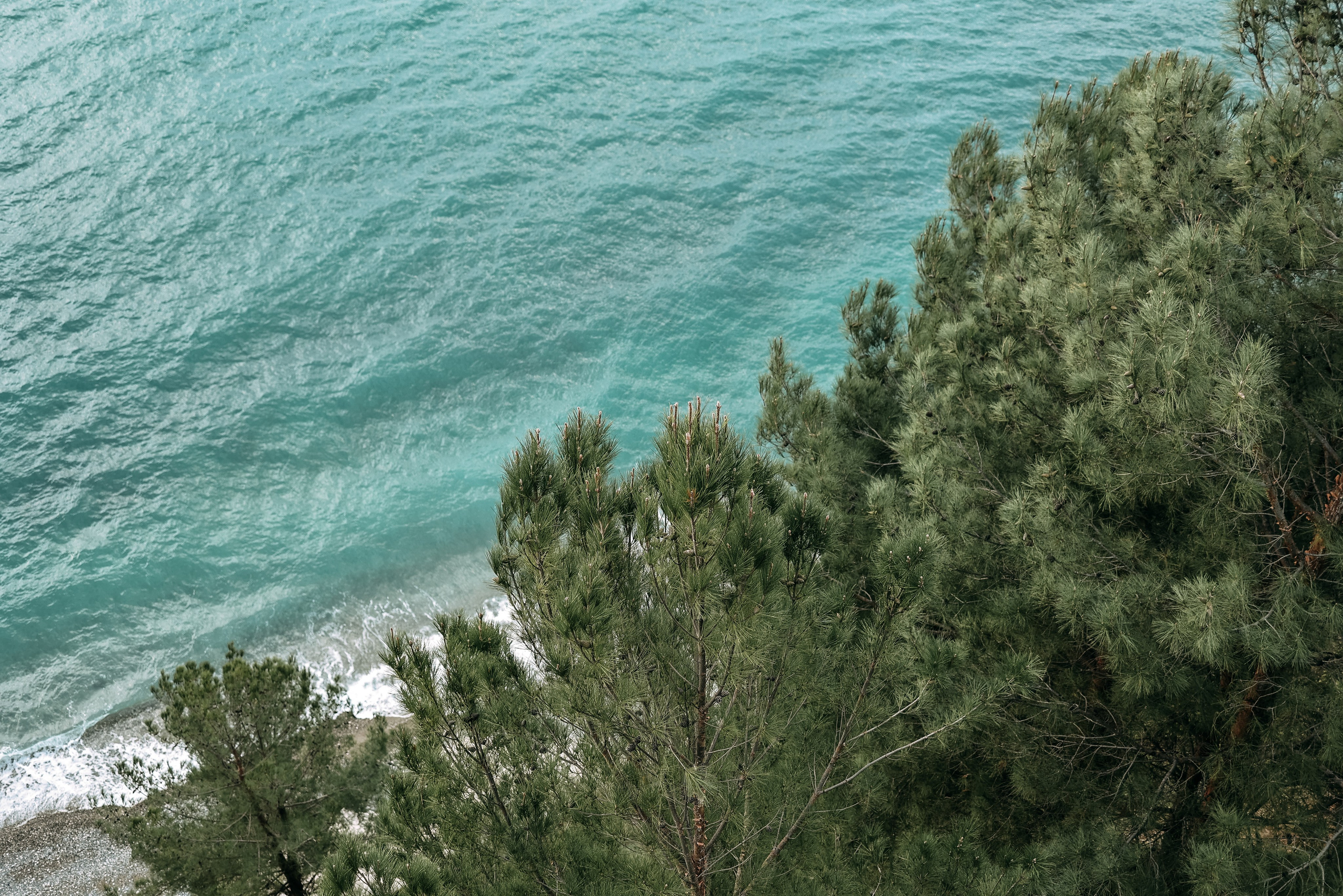 Сочи в декабре. Портретный фотограф в Санкт-Петербурге