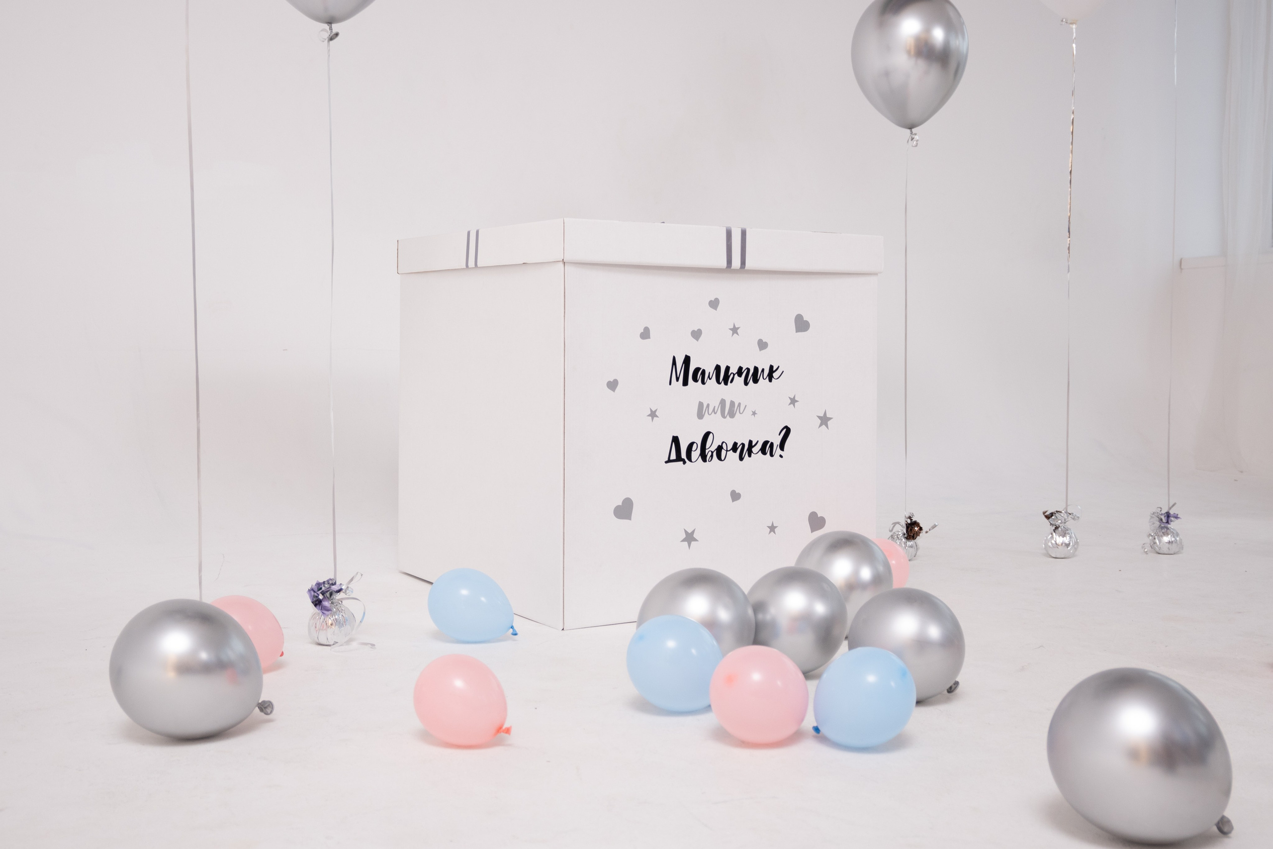 Gender party. Fotograf Dmitrii Donets