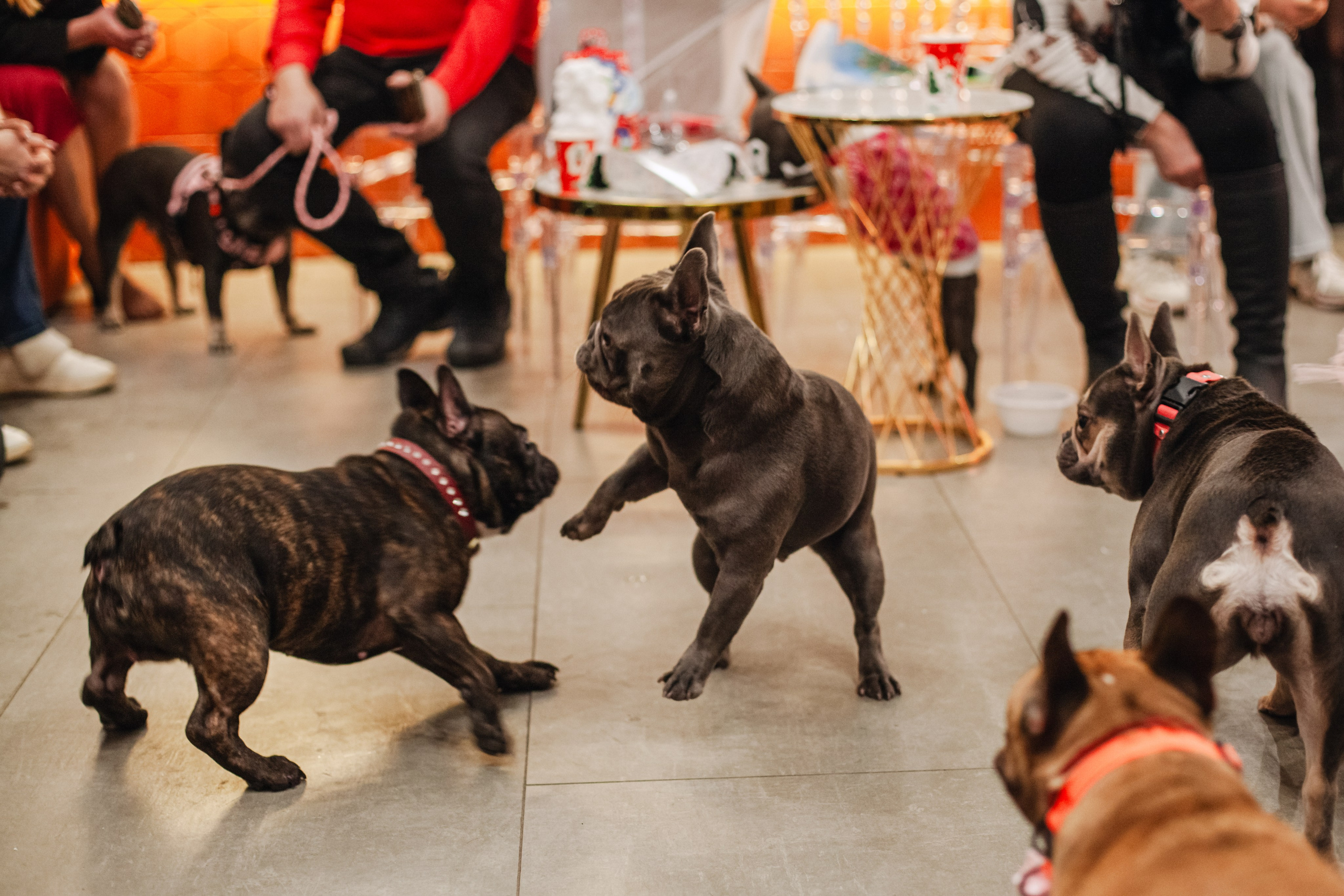 Бульёлка 2024. Фотограф-анималист Татьяна Степанова