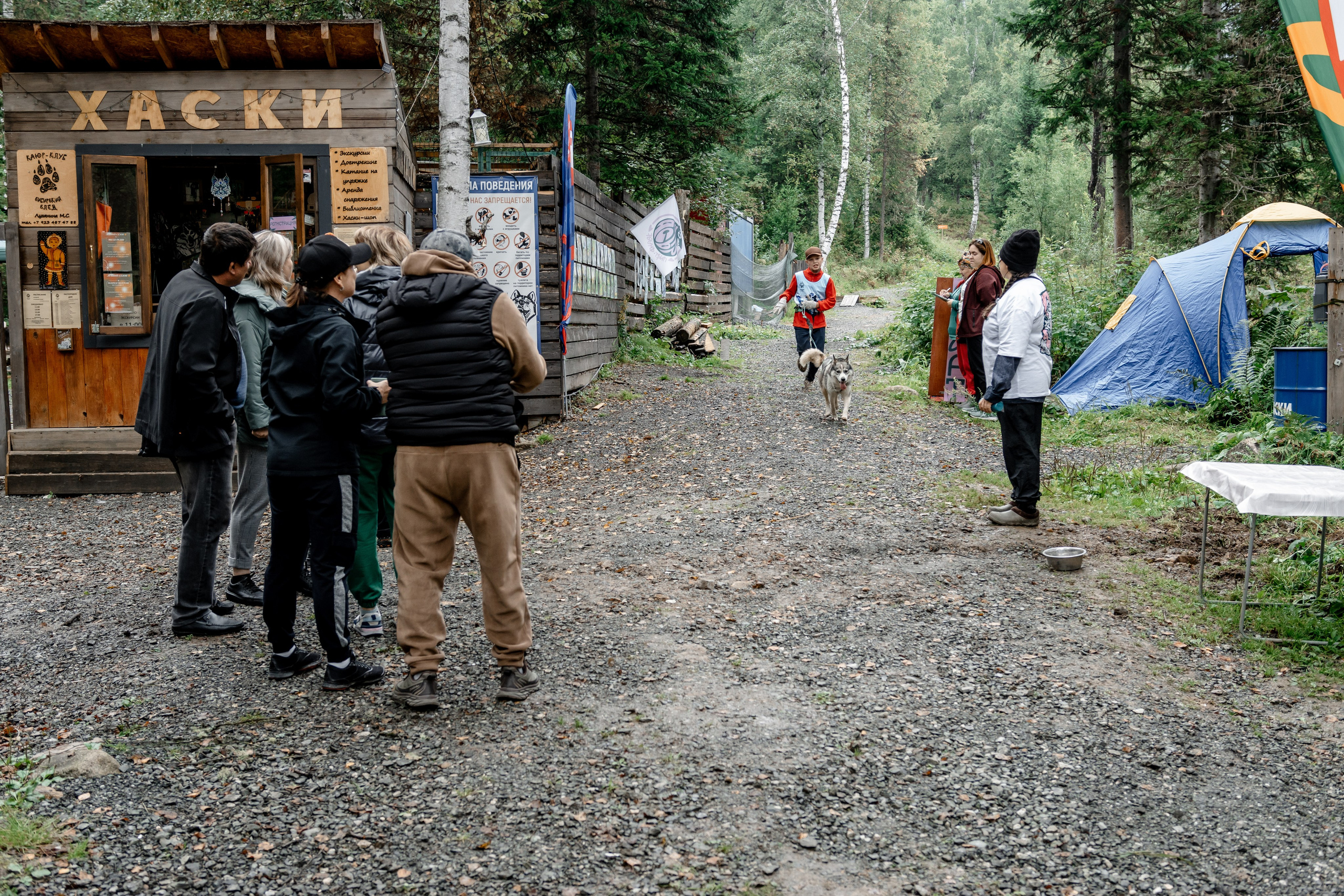 Дог-треккинг