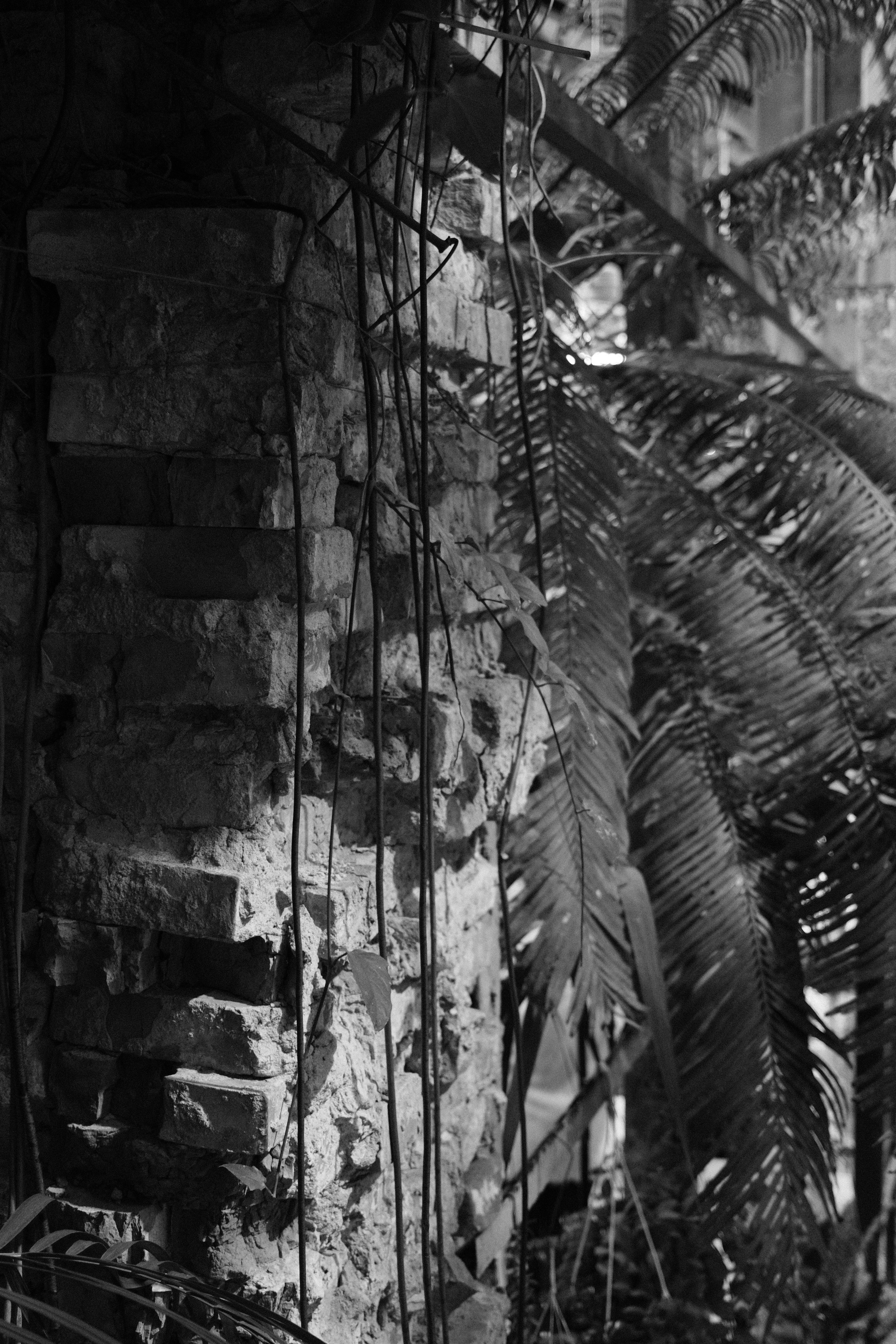 Аптекарский огород. Профессиональный фотограф в Москве Захар Ишутин