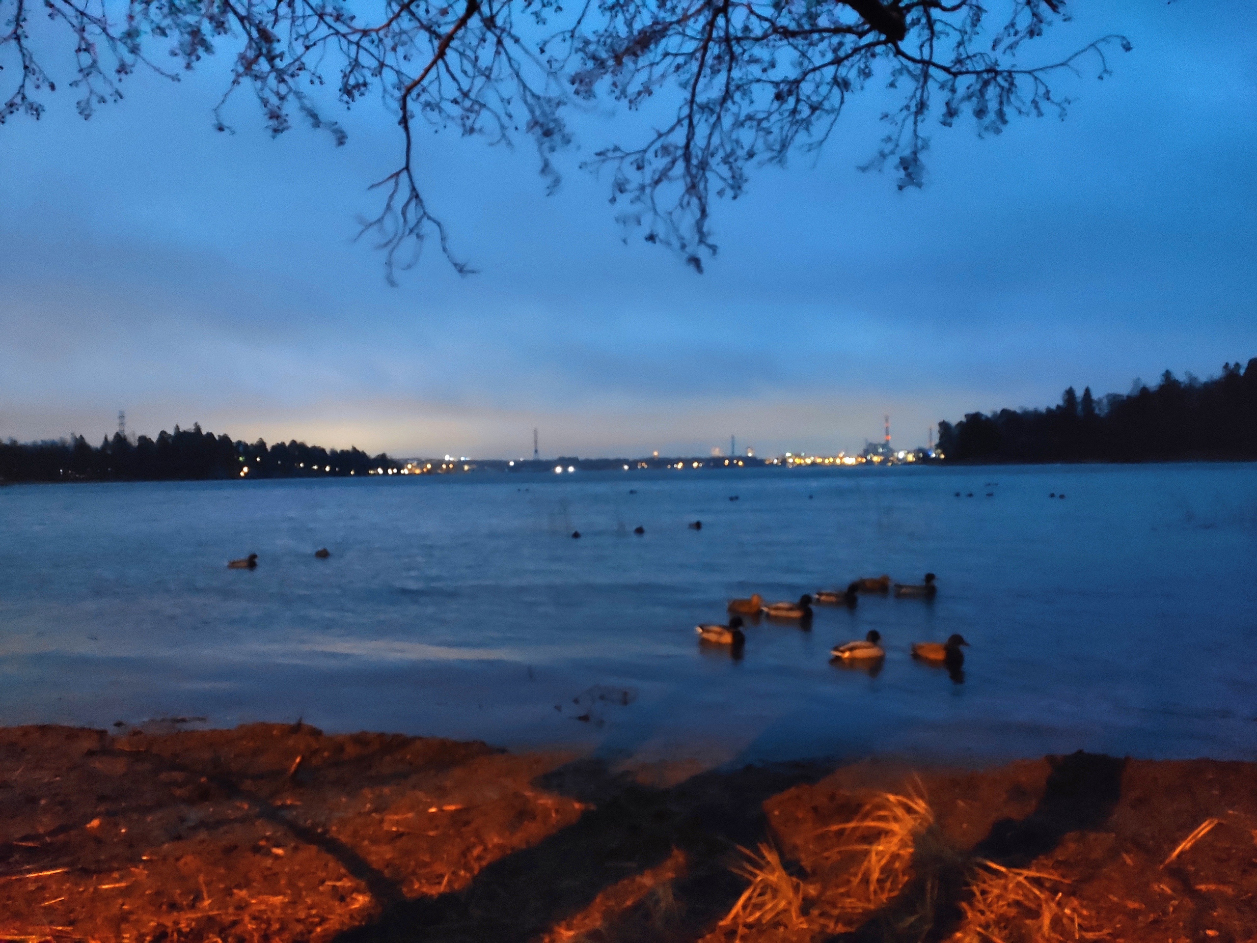 Проехали по островам архипелага, заглянули в учебные центры Эспоо. Присмотрели школы Игорьку :) 