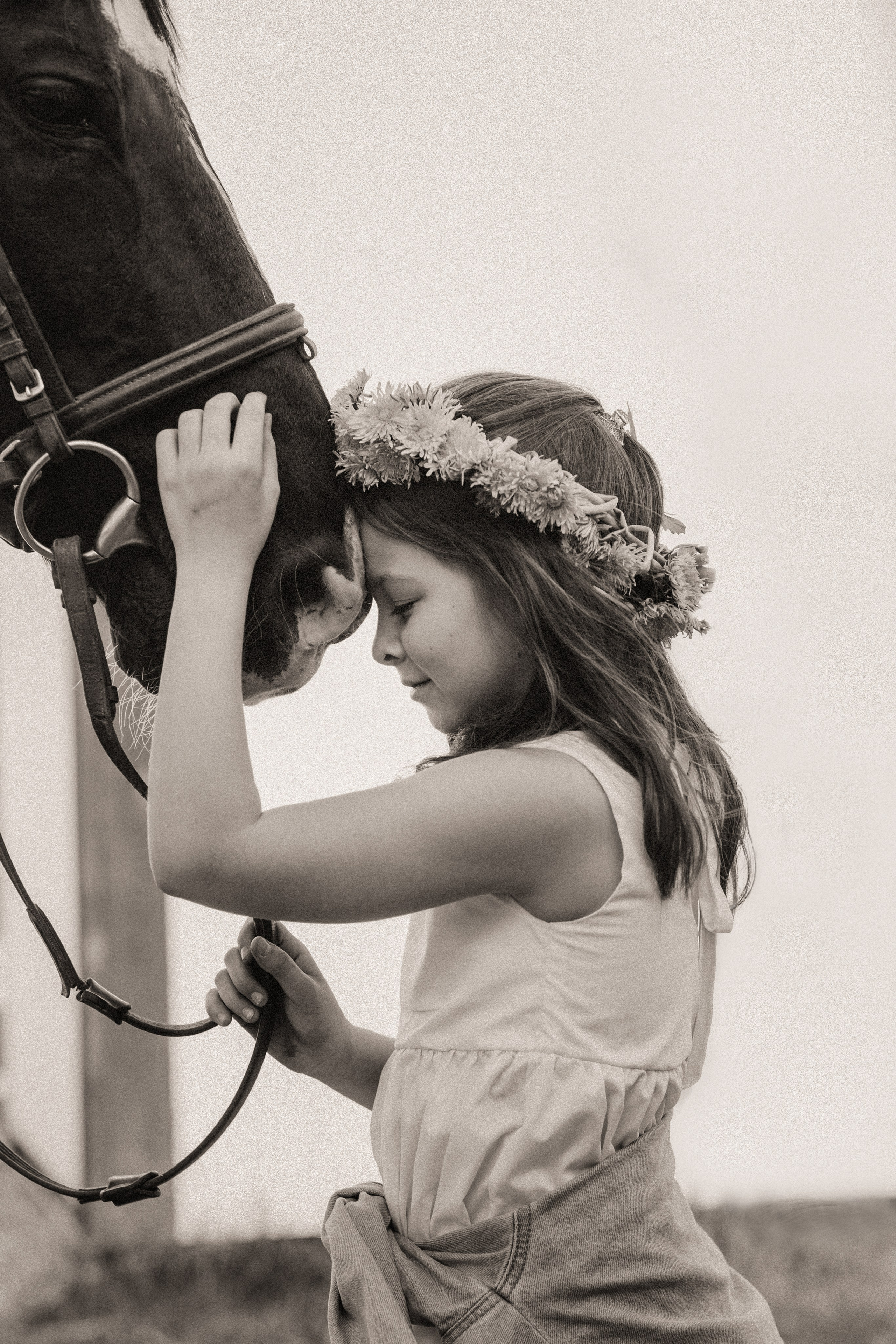 Фотосессия с лошадьми. Фотограф Санкт-Петербург Елена Мухина