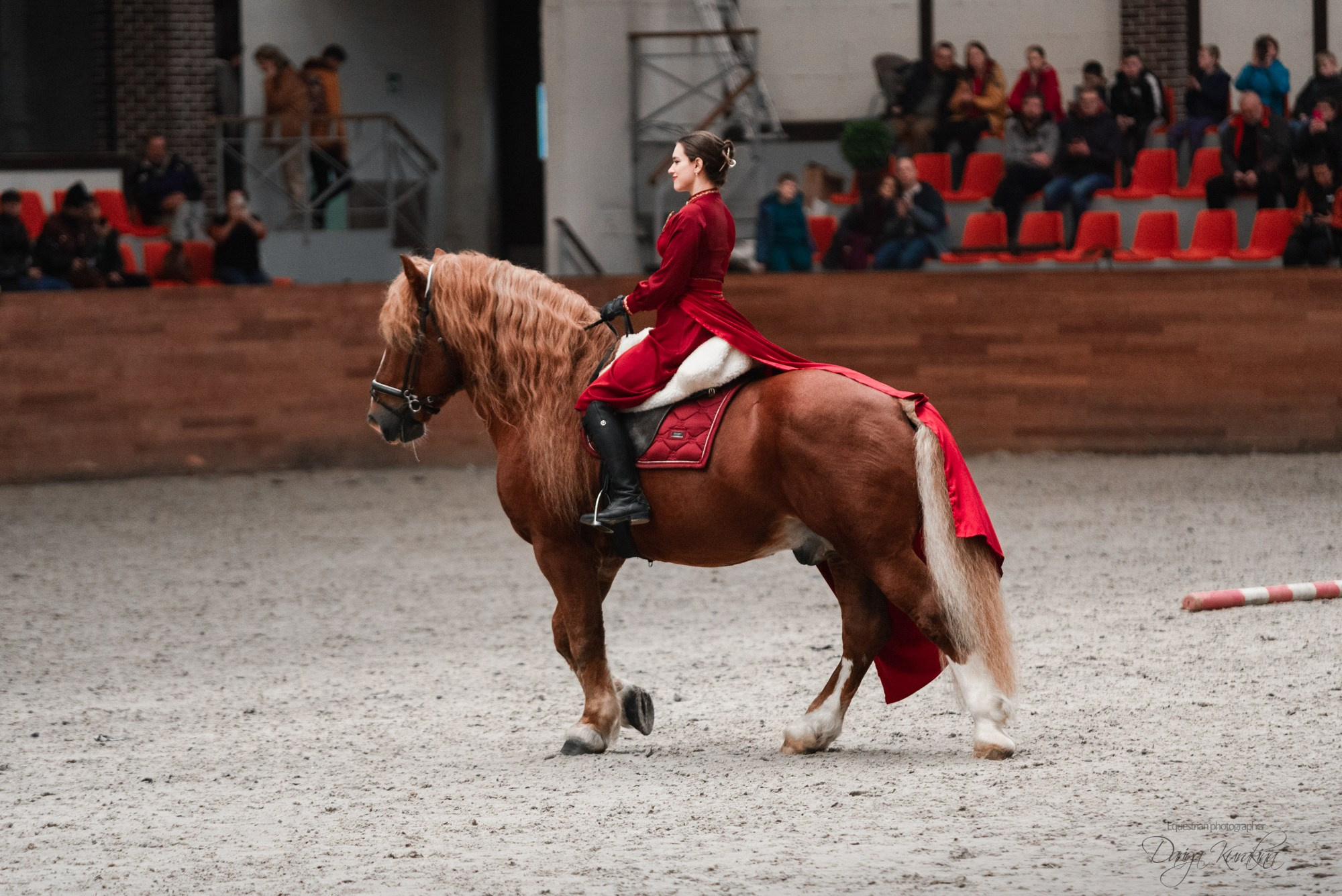 8-я международная выставка Конная Россия. Конный фотограф Куракина Дарья • Фотосессии с лошадьми