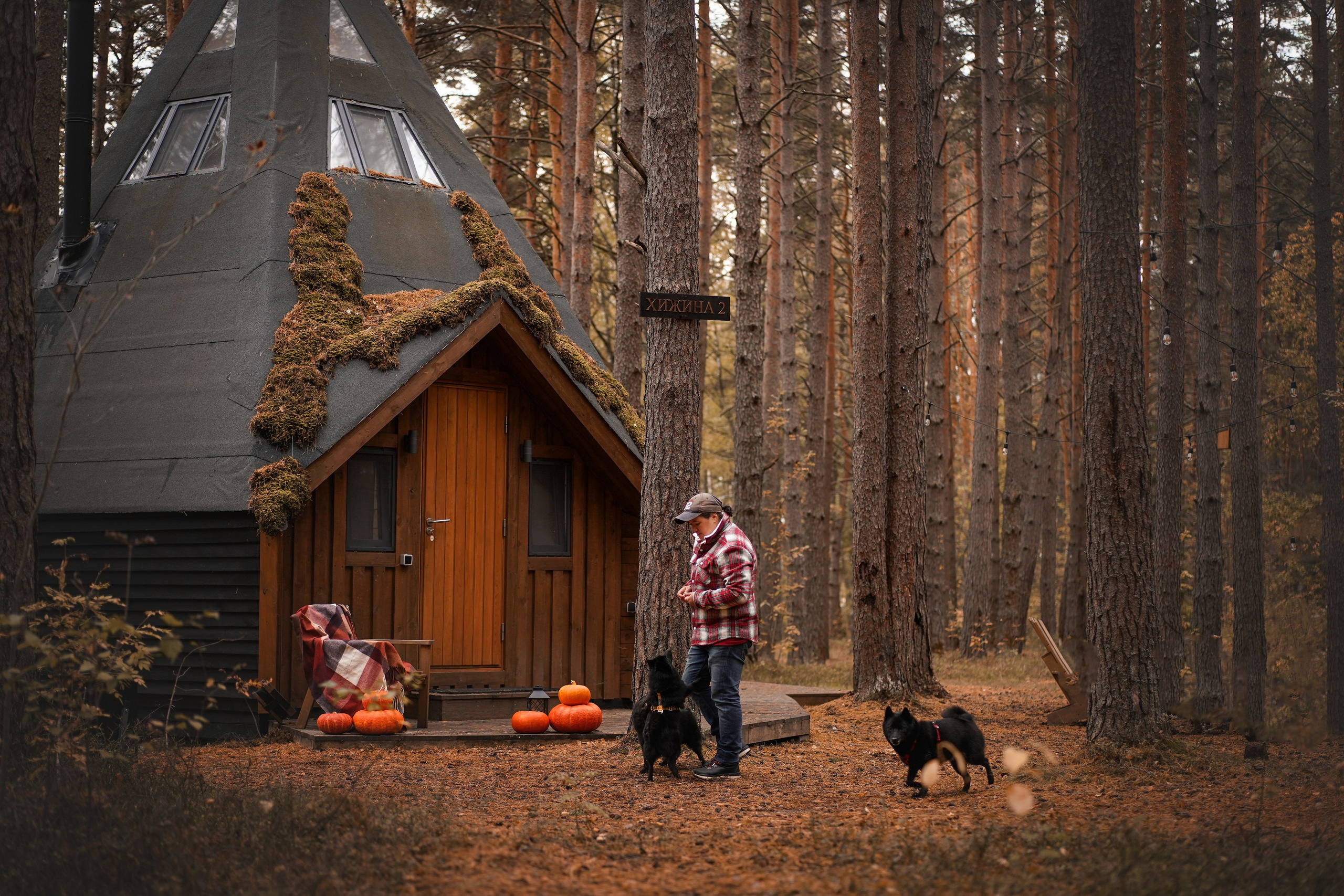 Аня Мишель Арчи и Майкл. Фотограф-анималист в Санкт-Петербурге Яна Мартынова