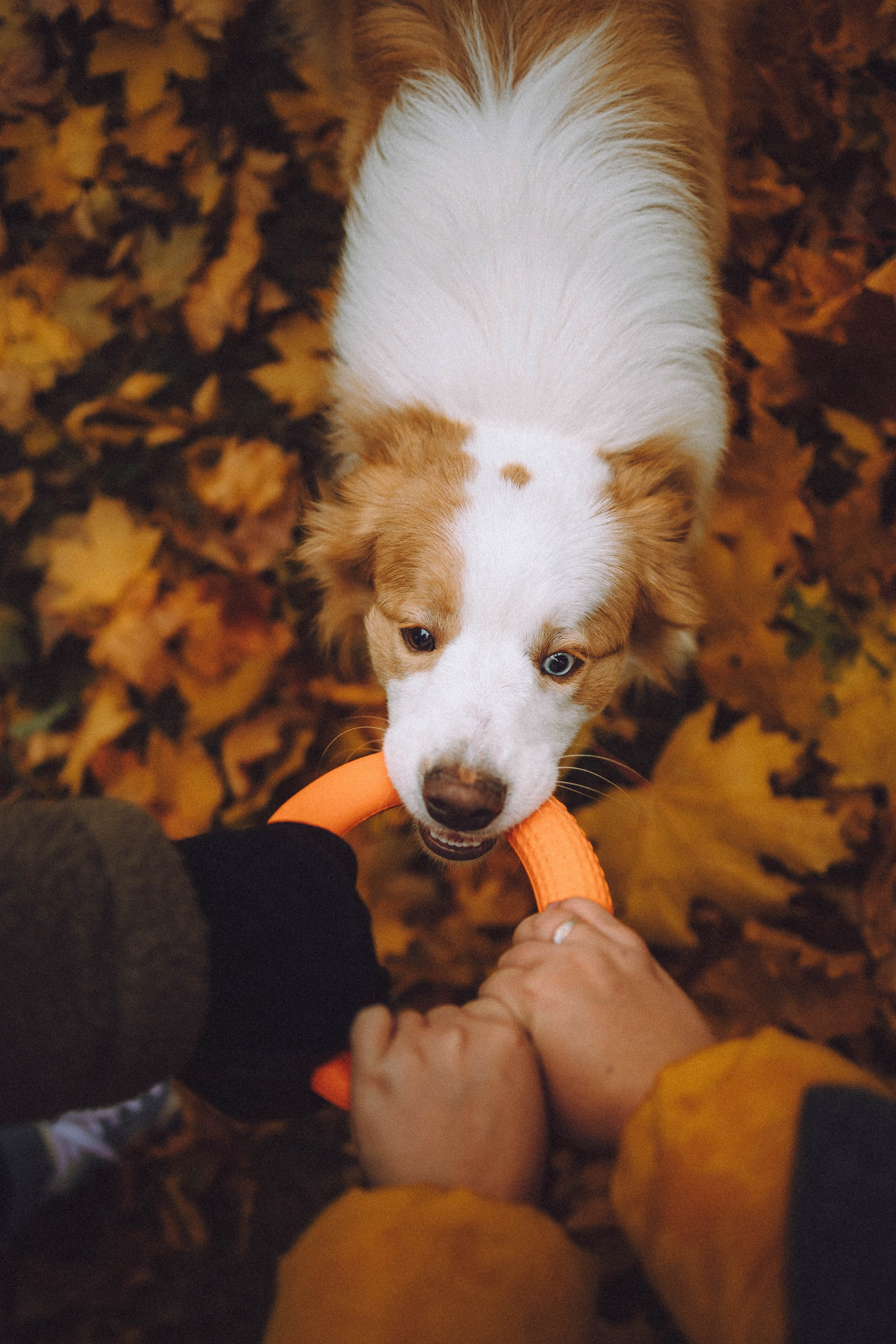 Алина, Витя и Асти