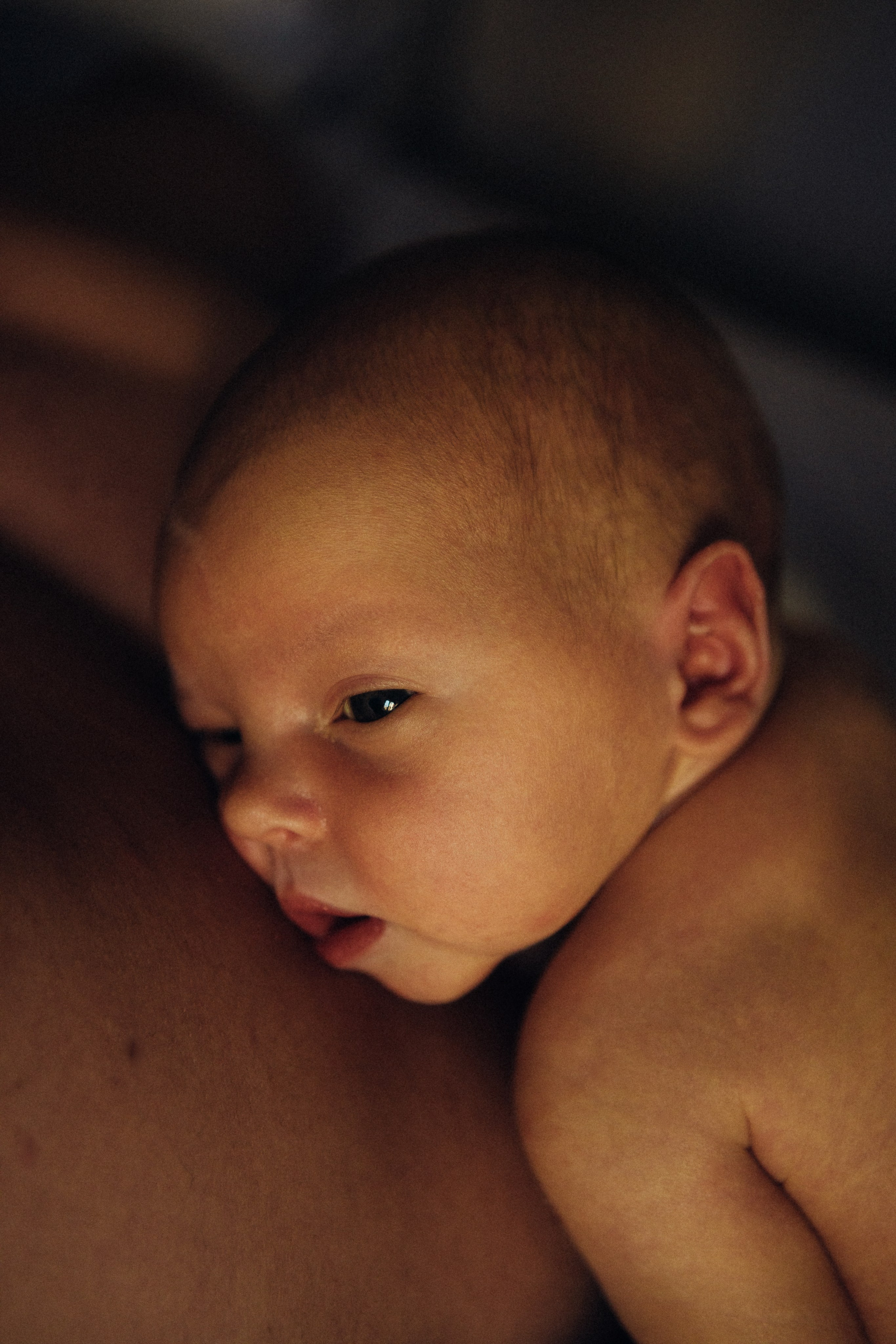 Кирюша. Профессиональный фотограф в Москве Светлана Скрипник