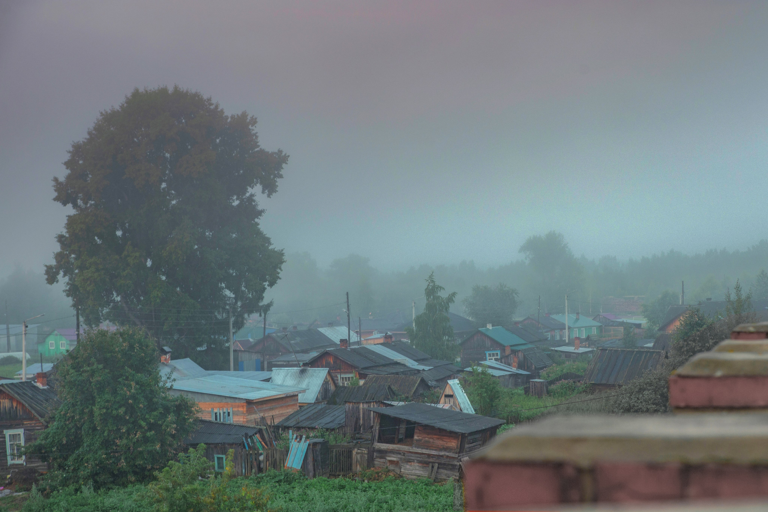 Мои работы. Выпускные альбомы в Томске. Леднева Олеся