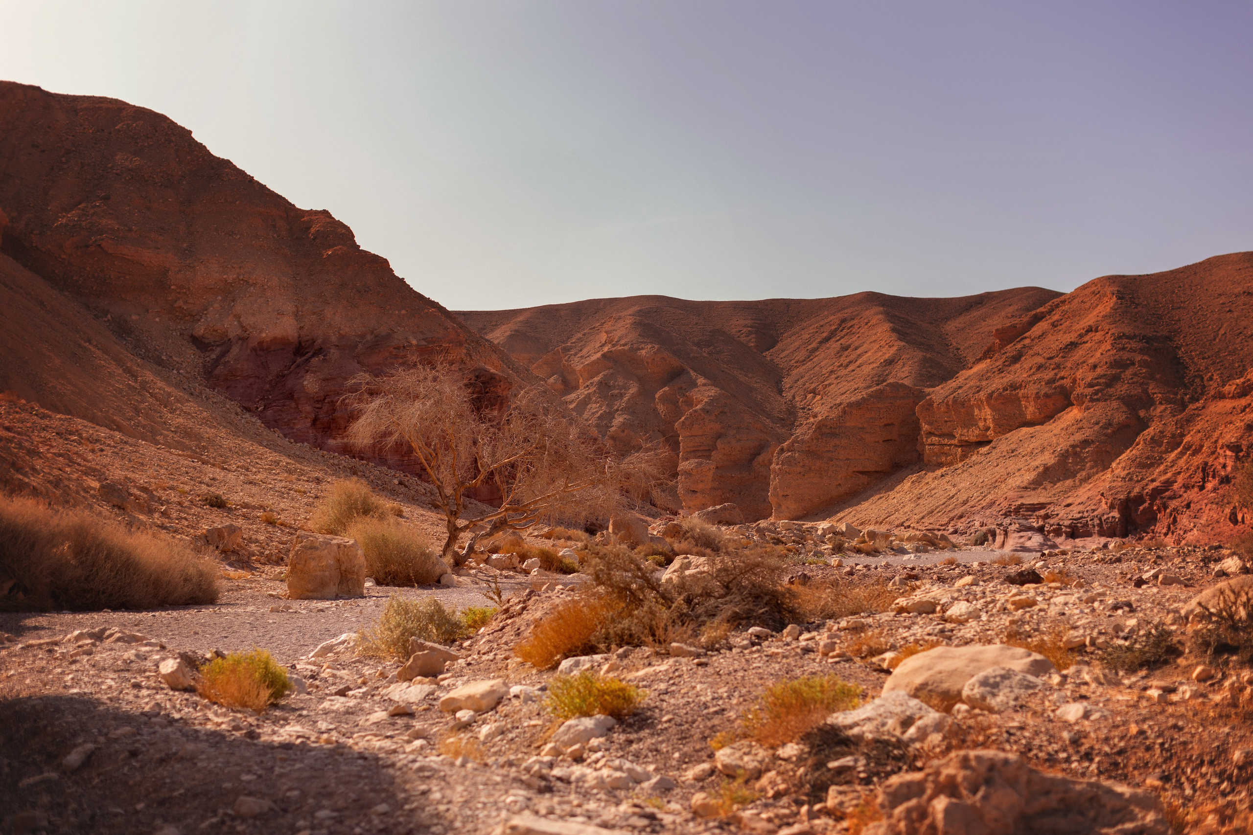 Red Canyon в Эйлате. Израиль. צלם ואמן ילדים ומשפחה