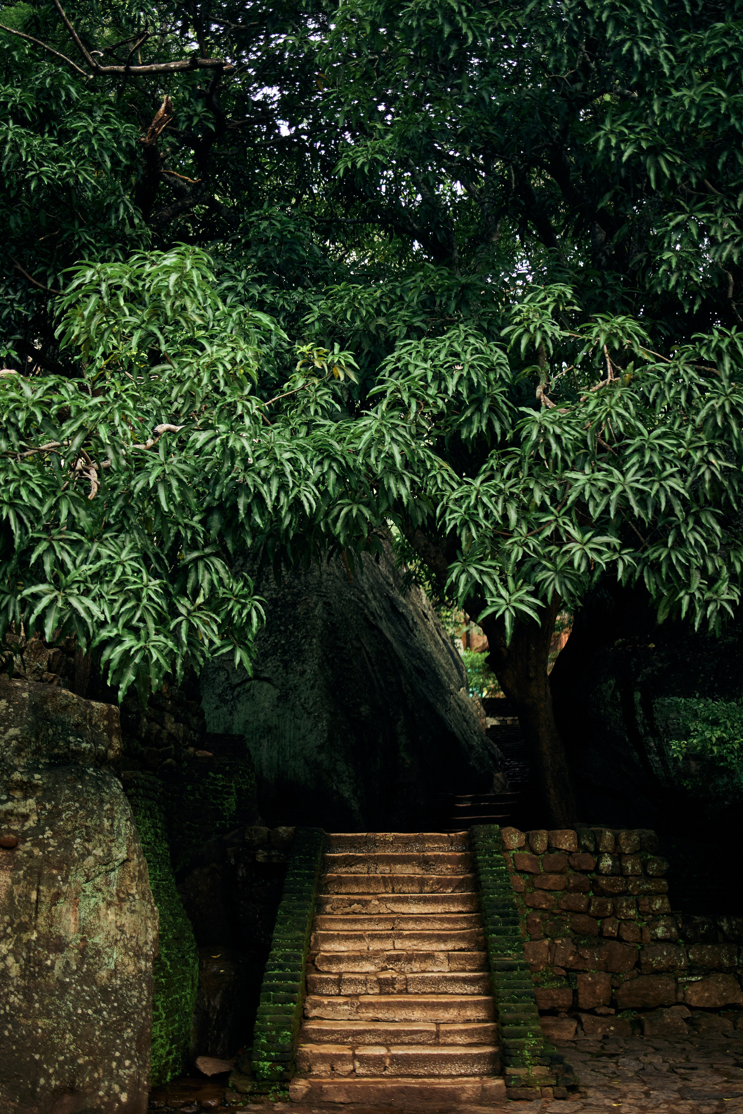 Шри-Ланка. Хороший репортажный и промышленный фотограф в Казани Алексей Щелконогов