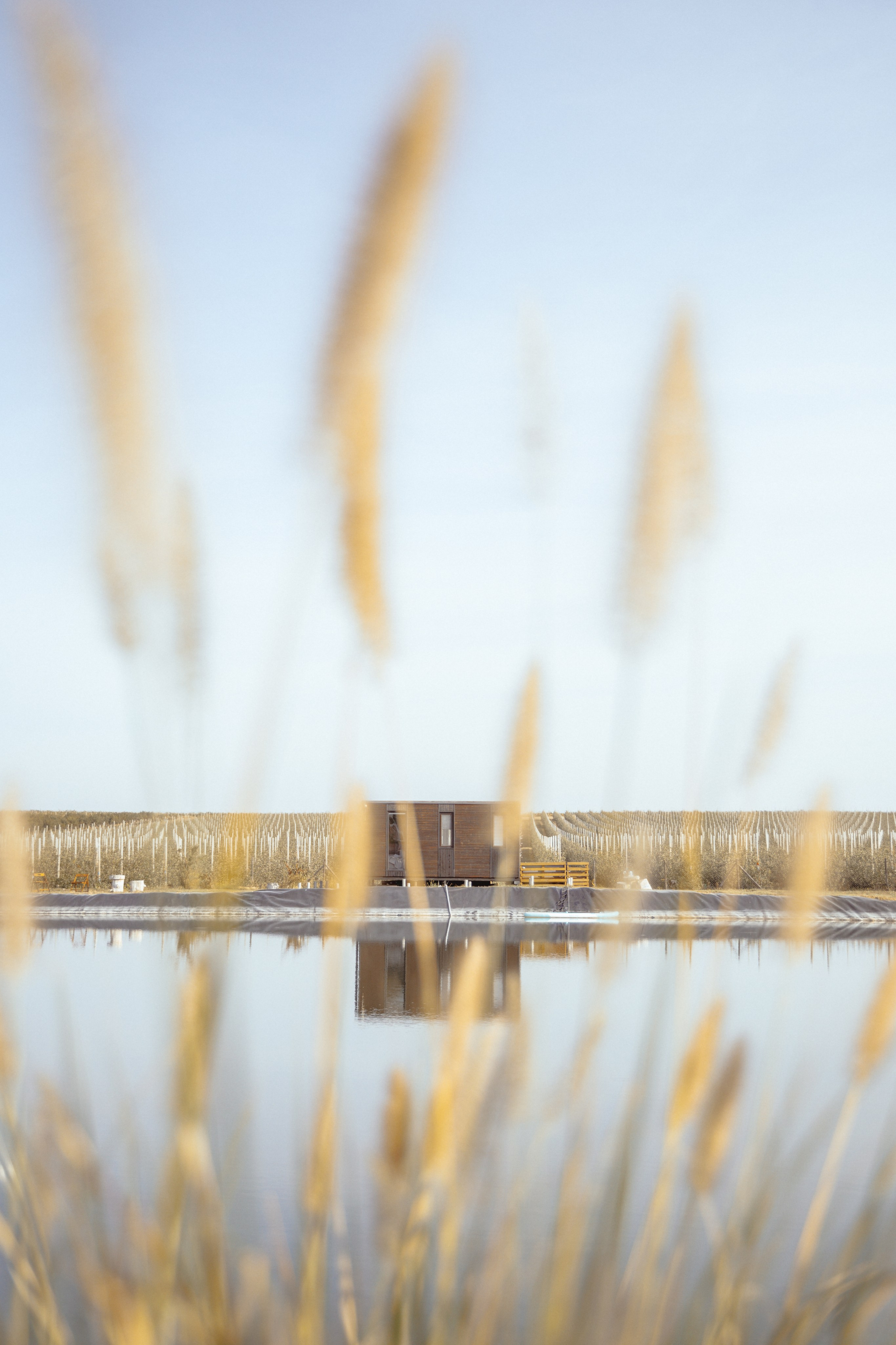 Domik в саду. Артем Корнев Фотограф