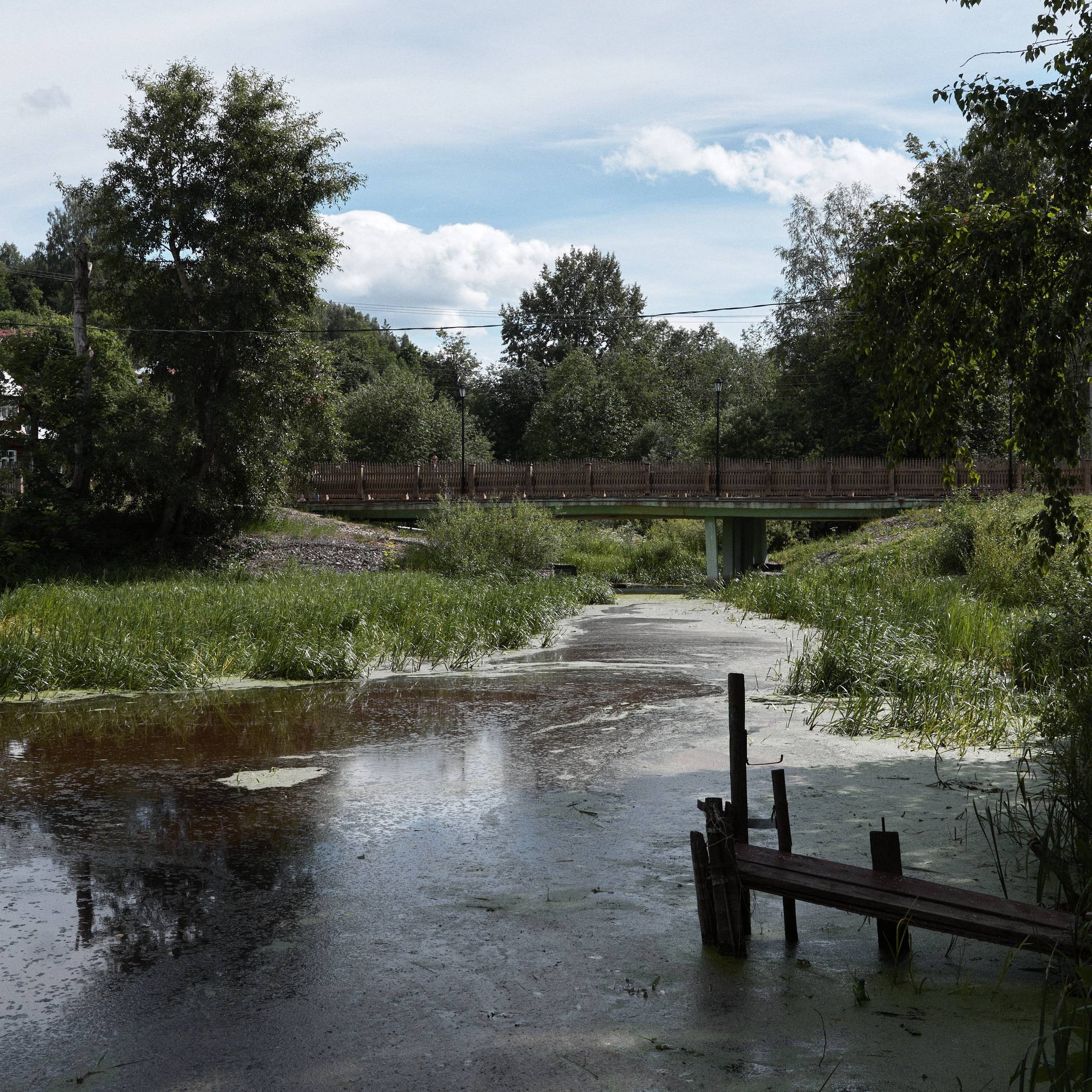 Окружение. Денис Паунин — Фотографии