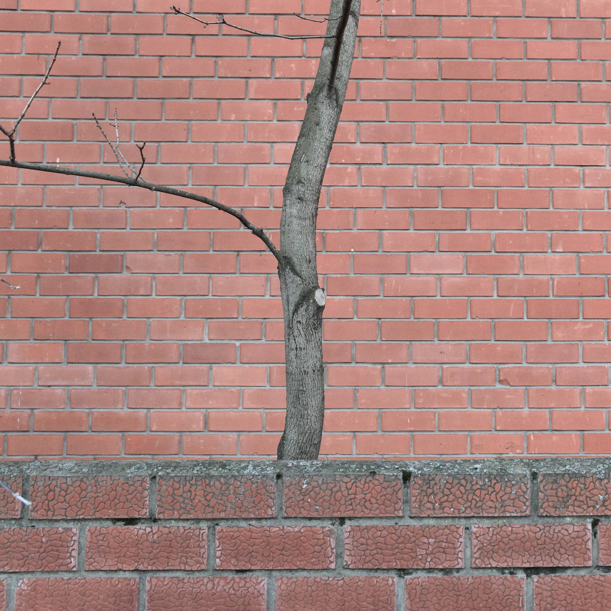 Окружение. Денис Паунин — Фотографии