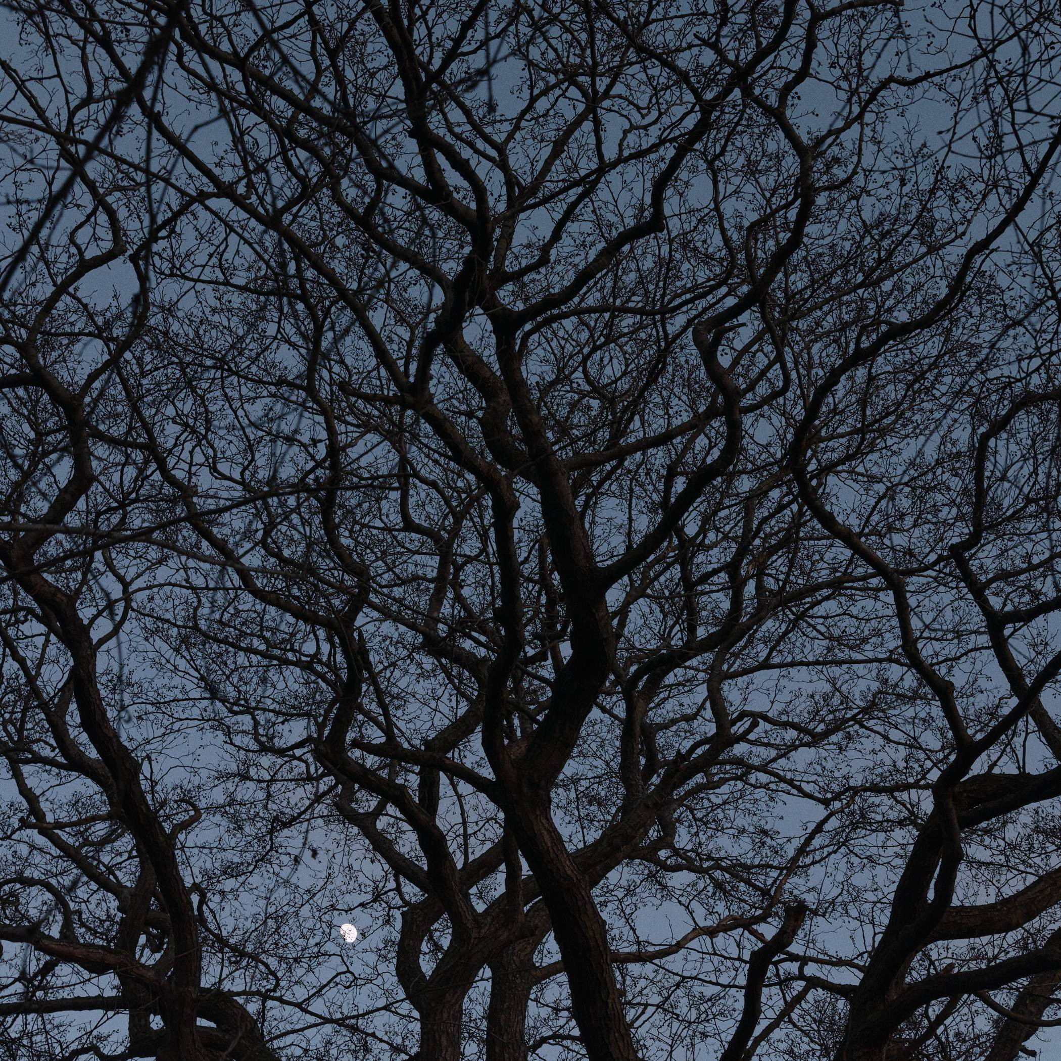 Окружение. Денис Паунин — Фотографии