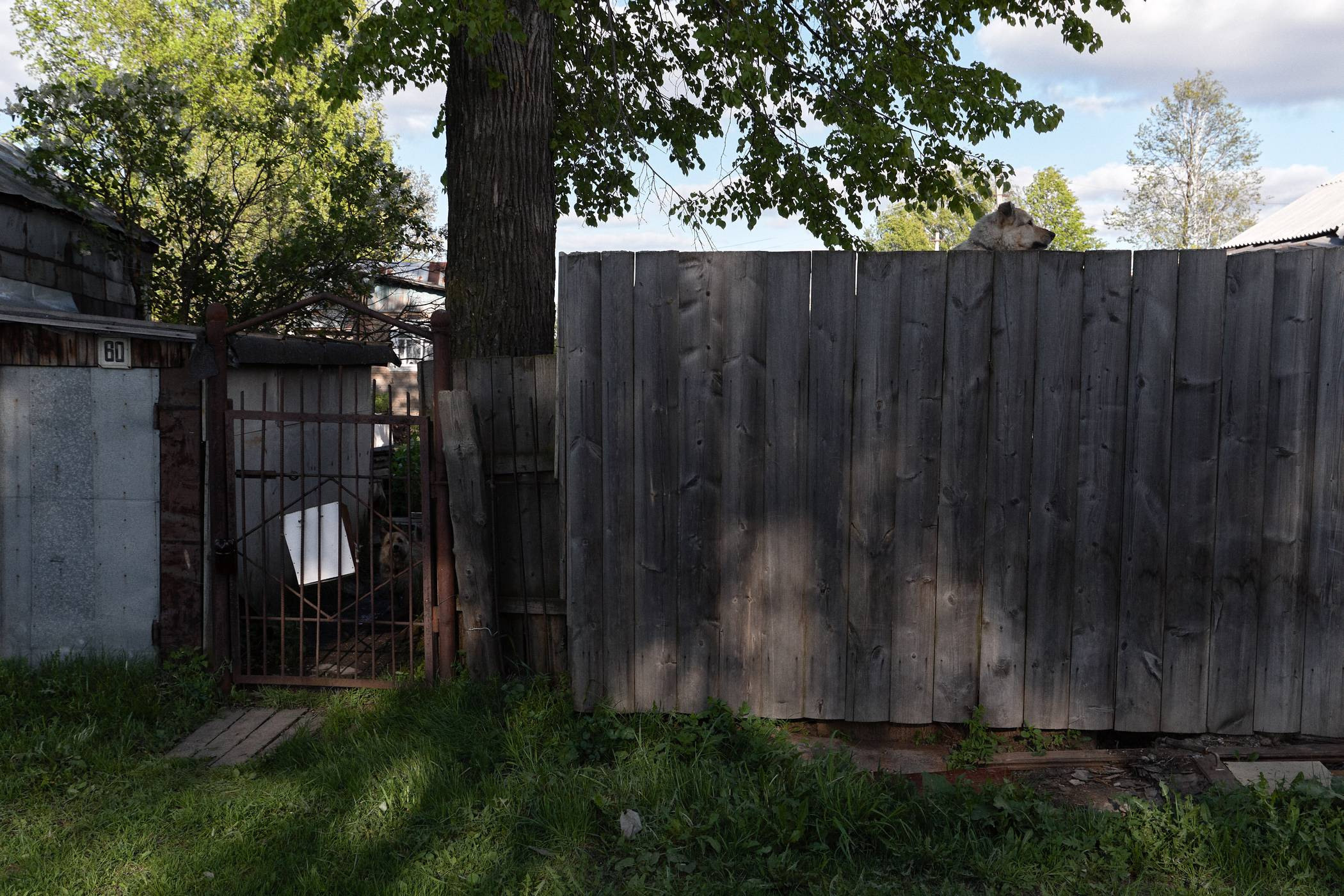 Окружение. Денис Паунин — Фотографии