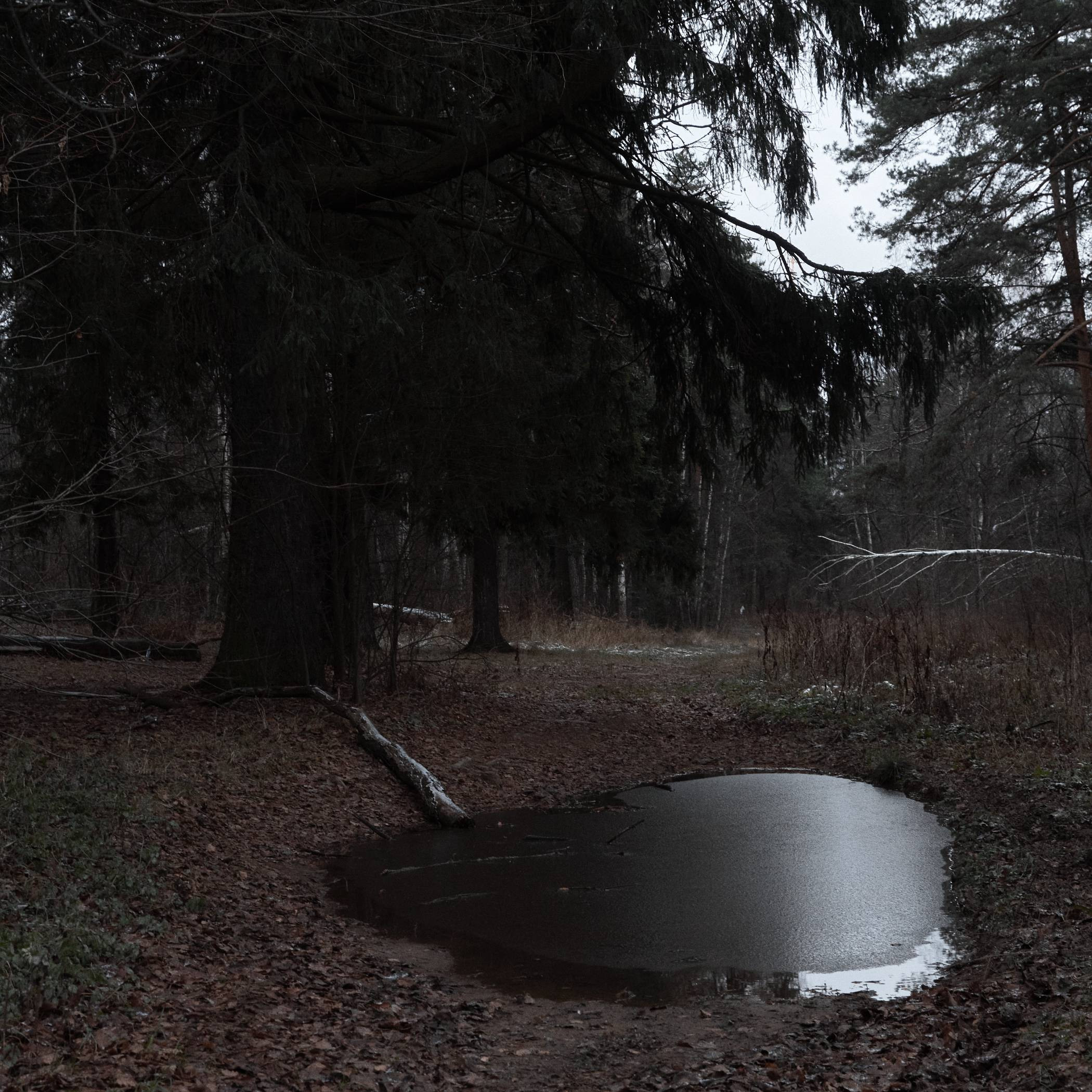 Окружение. Денис Паунин — Фотографии