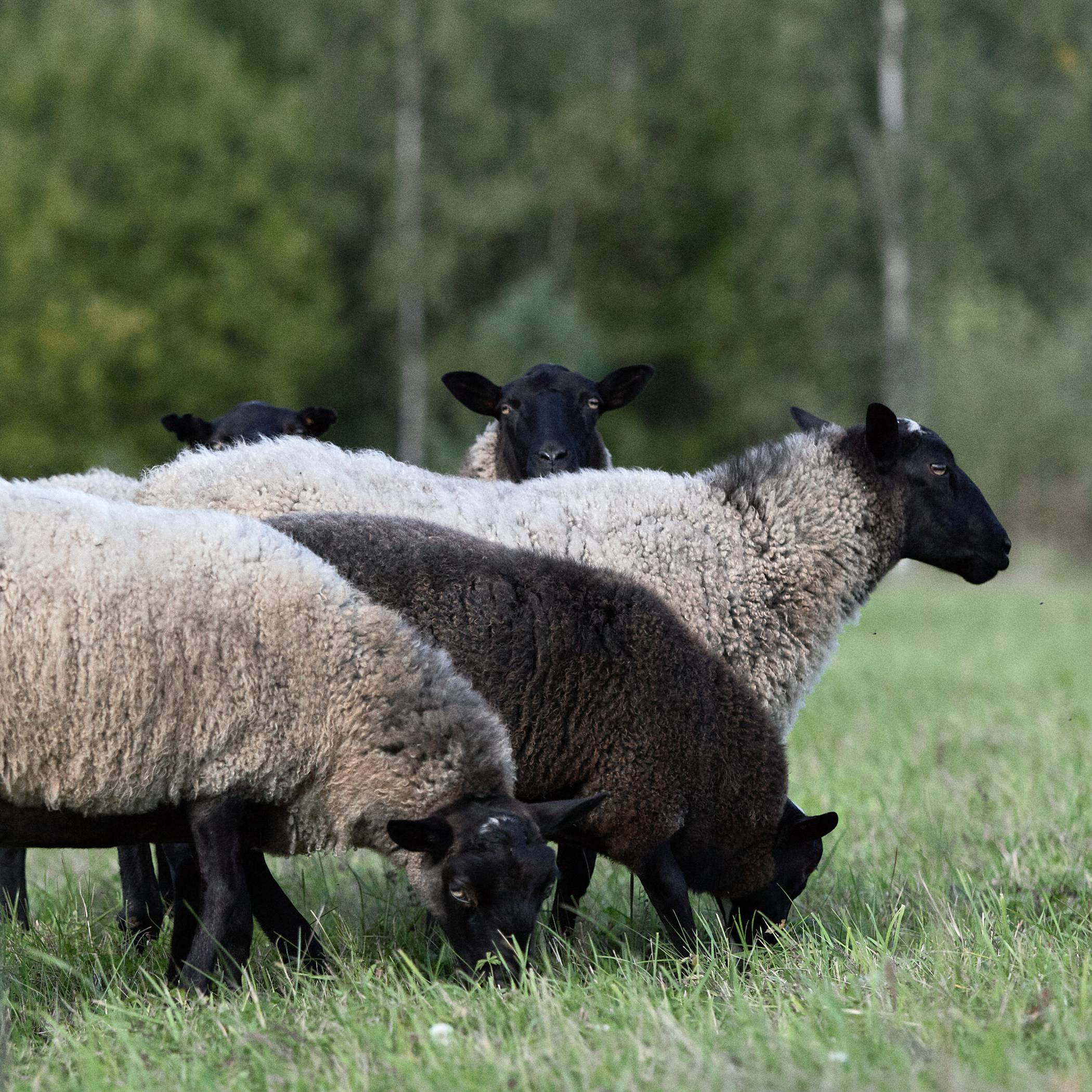Окружение. Денис Паунин — Фотографии