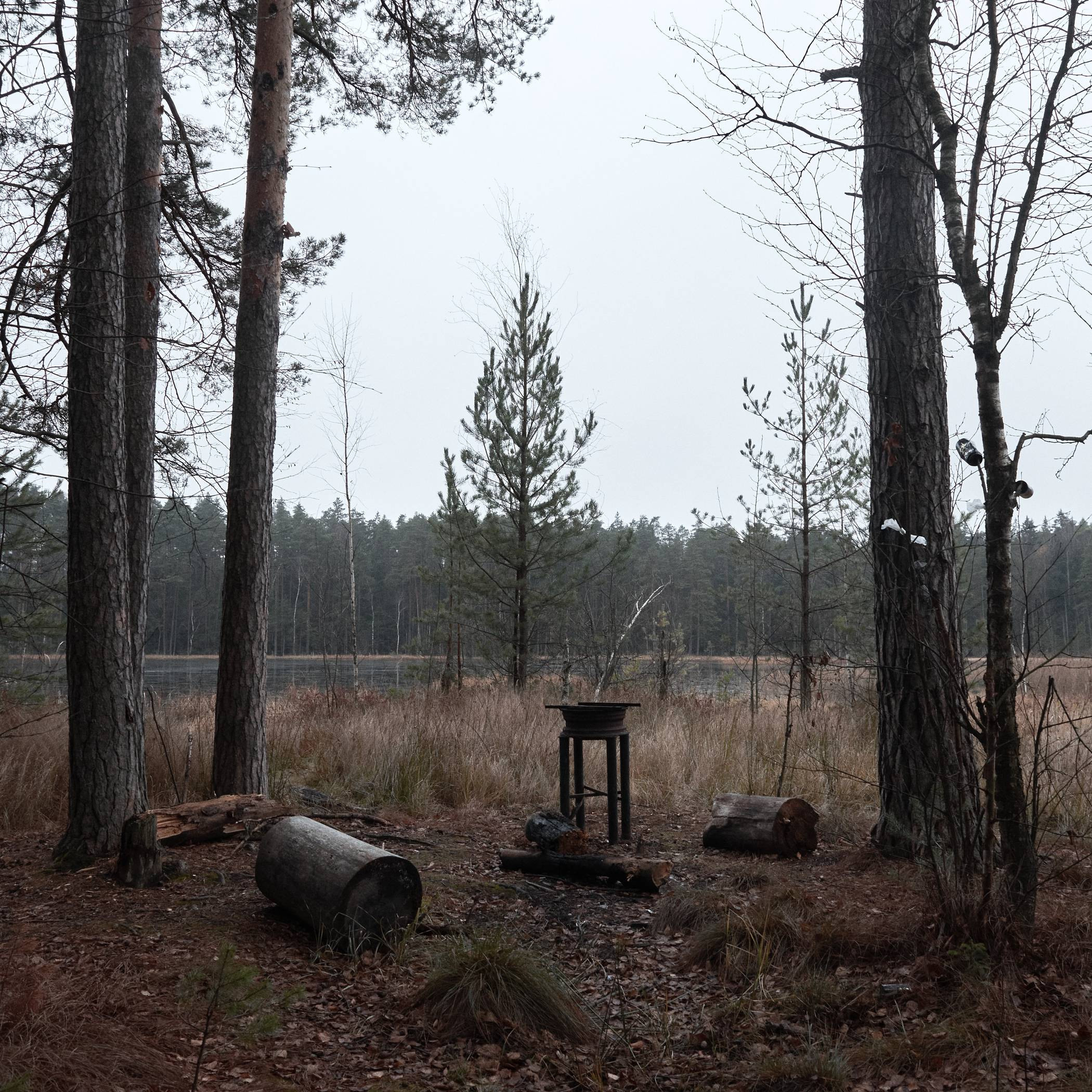 Окружение. Денис Паунин — Фотографии