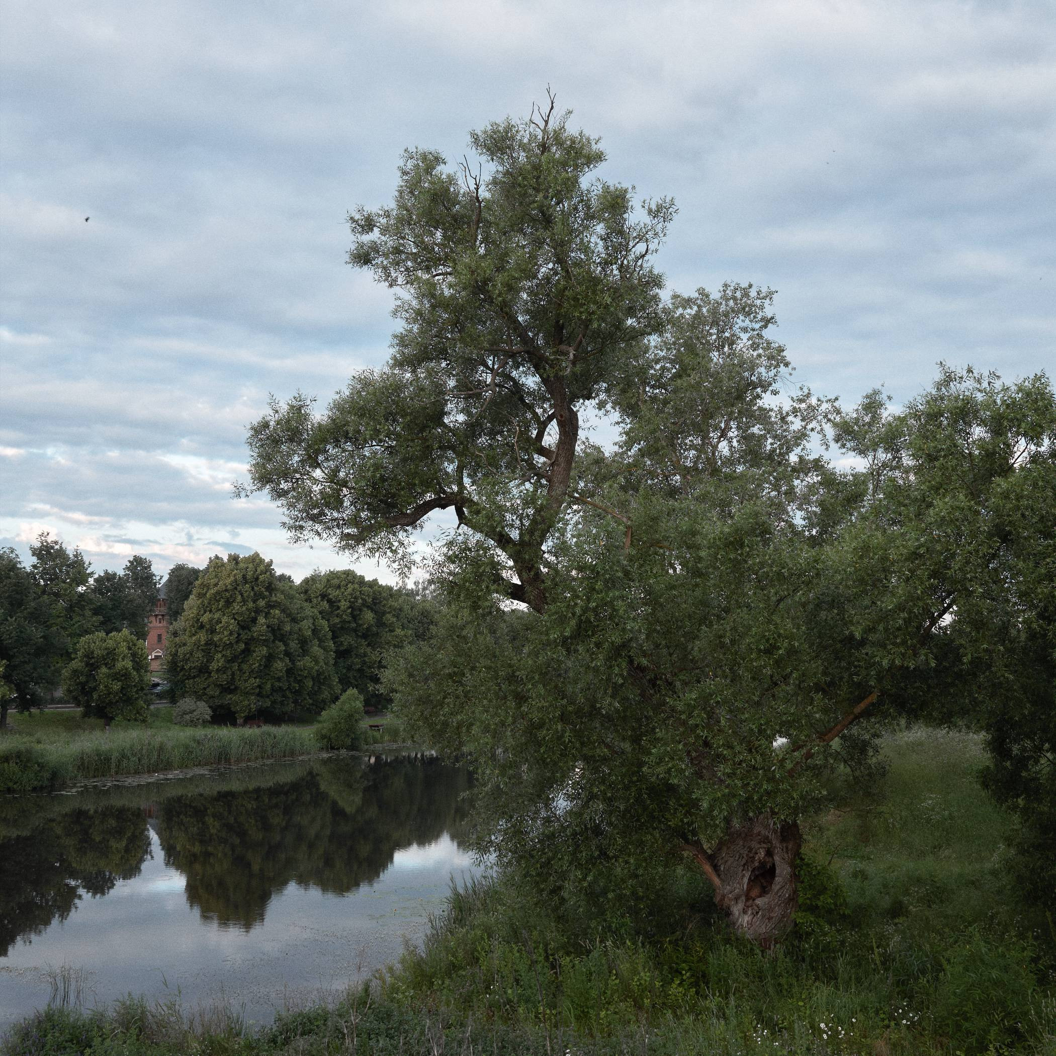 Окружение. Денис Паунин — Фотографии