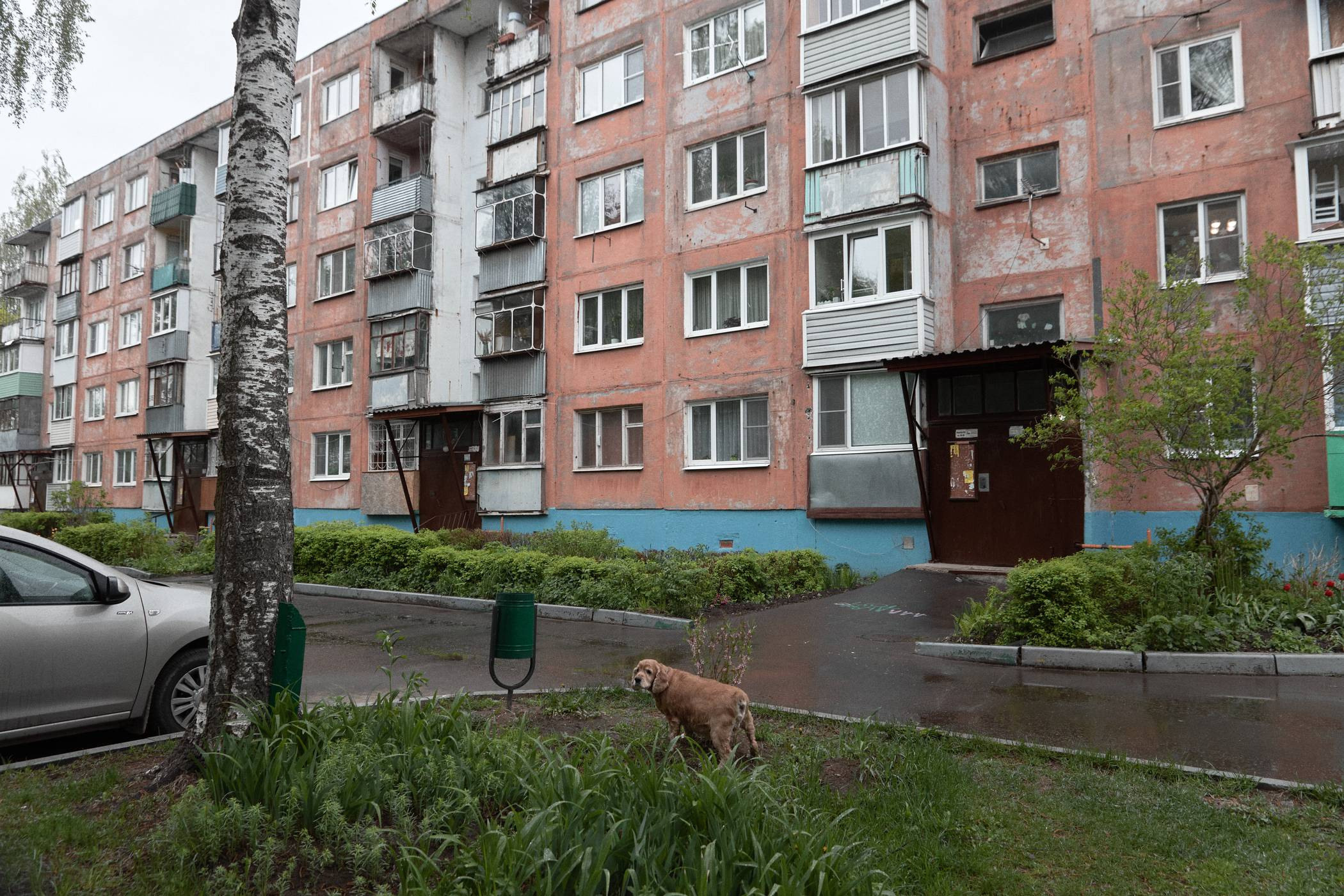 Окружение. Денис Паунин — Фотографии