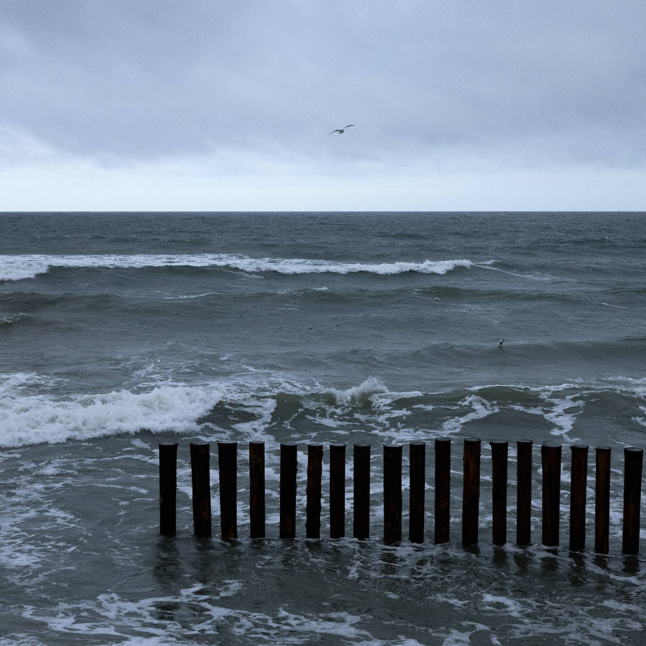 Окружение. Денис Паунин — Фотографии
