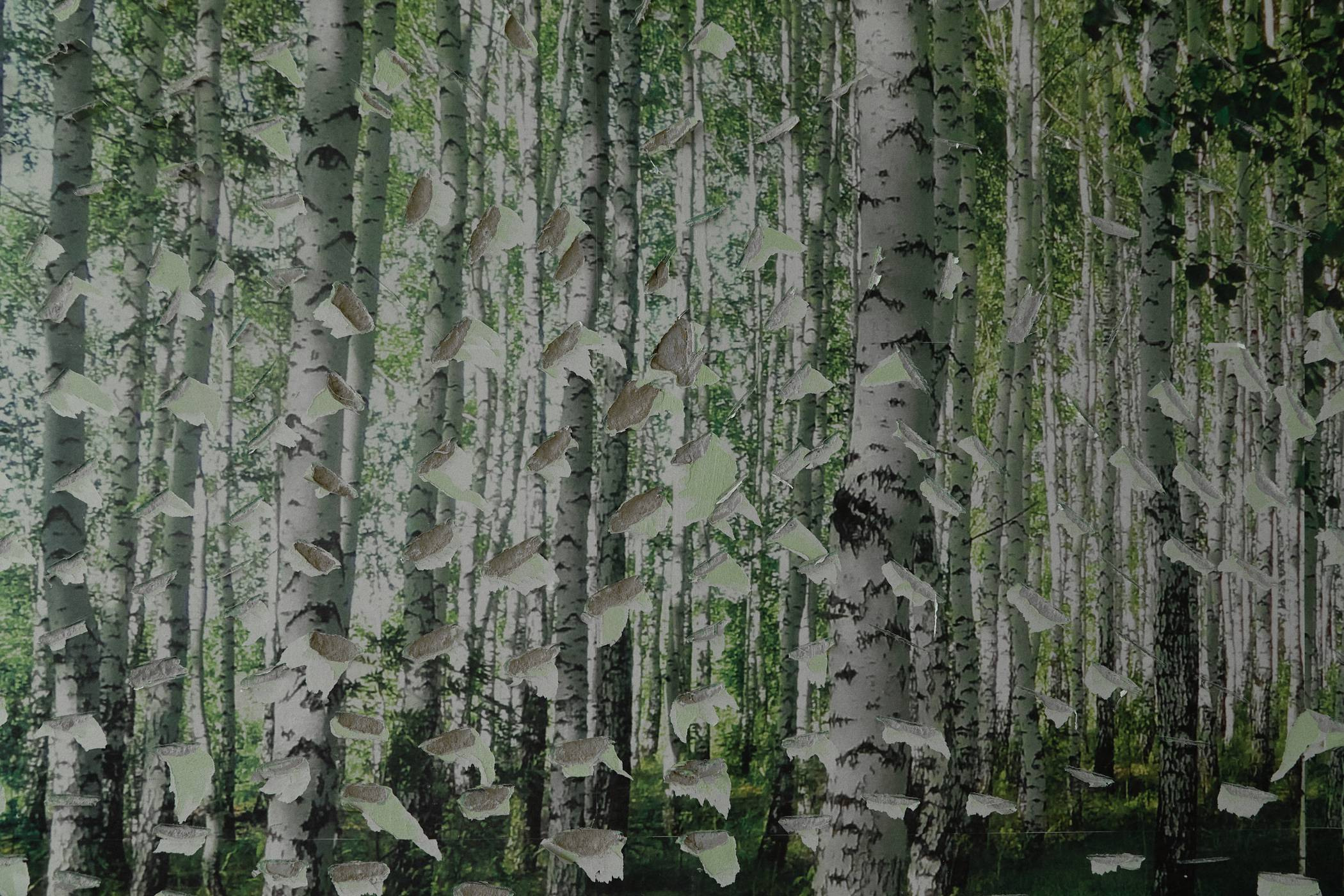 Окружение. Денис Паунин — Фотографии