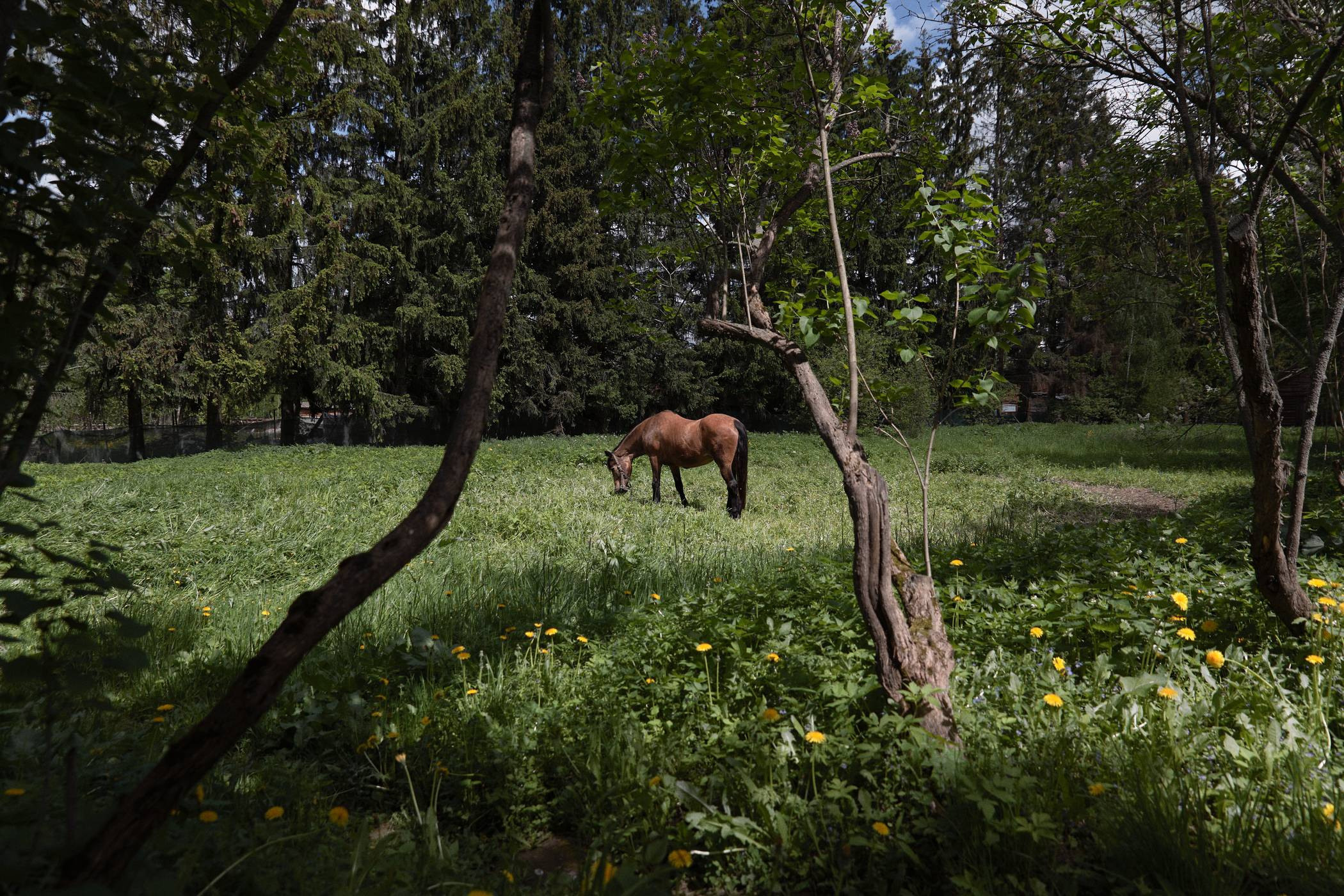Окружение. Денис Паунин — Фотографии