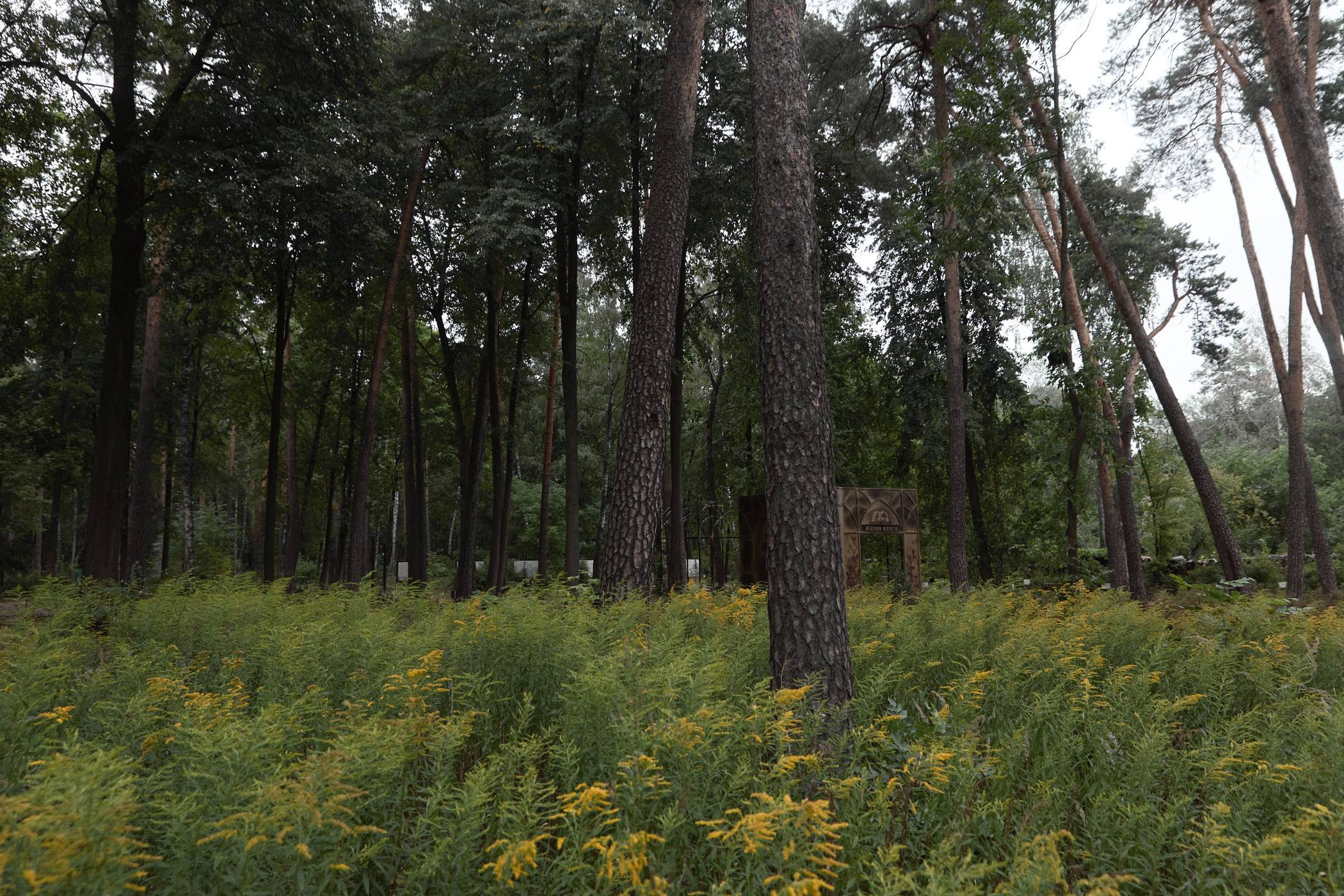 Окружение. Денис Паунин — Фотографии