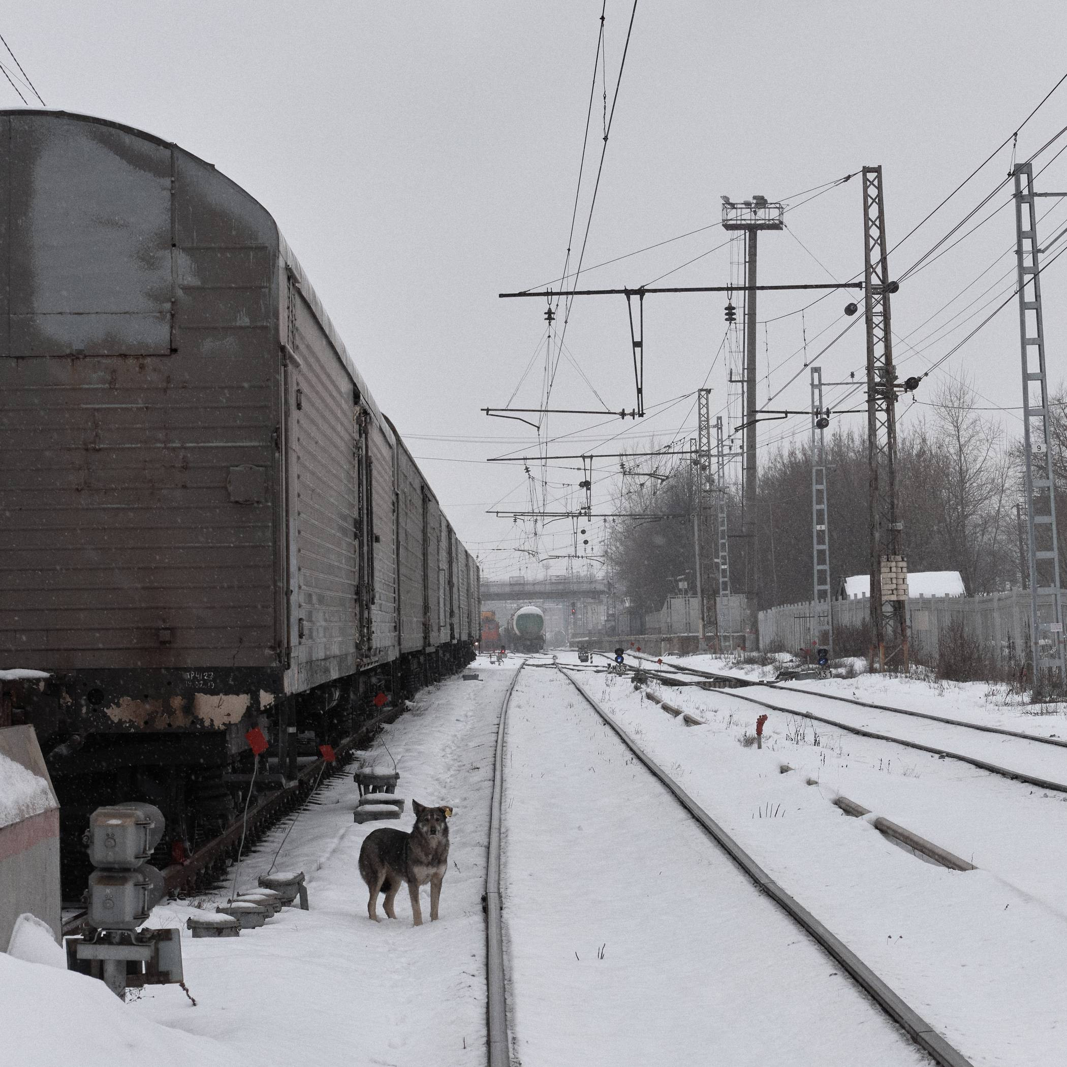 Окружение. Денис Паунин — Фотографии
