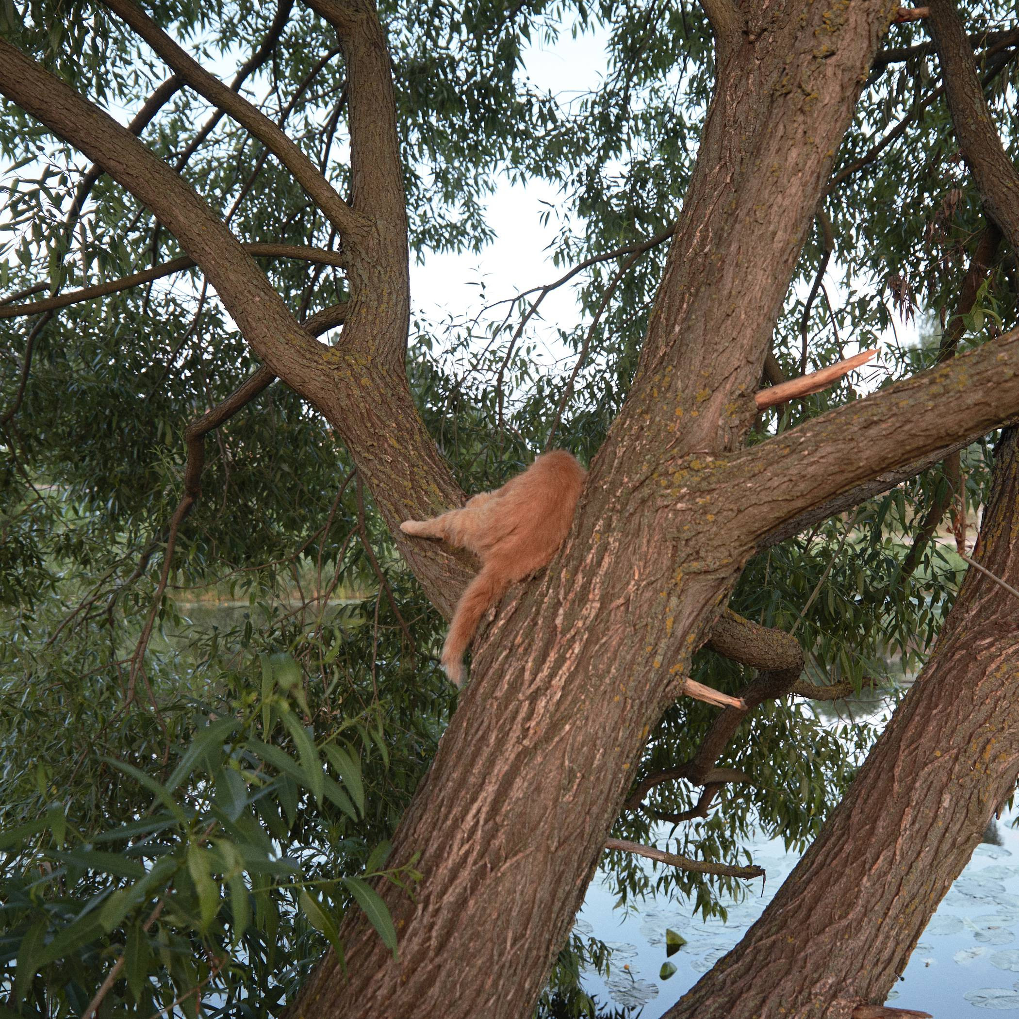 Окружение. Денис Паунин — Фотографии