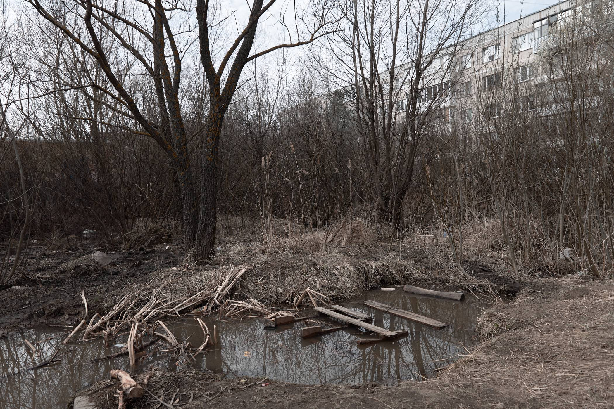 Окружение. Денис Паунин — Фотографии