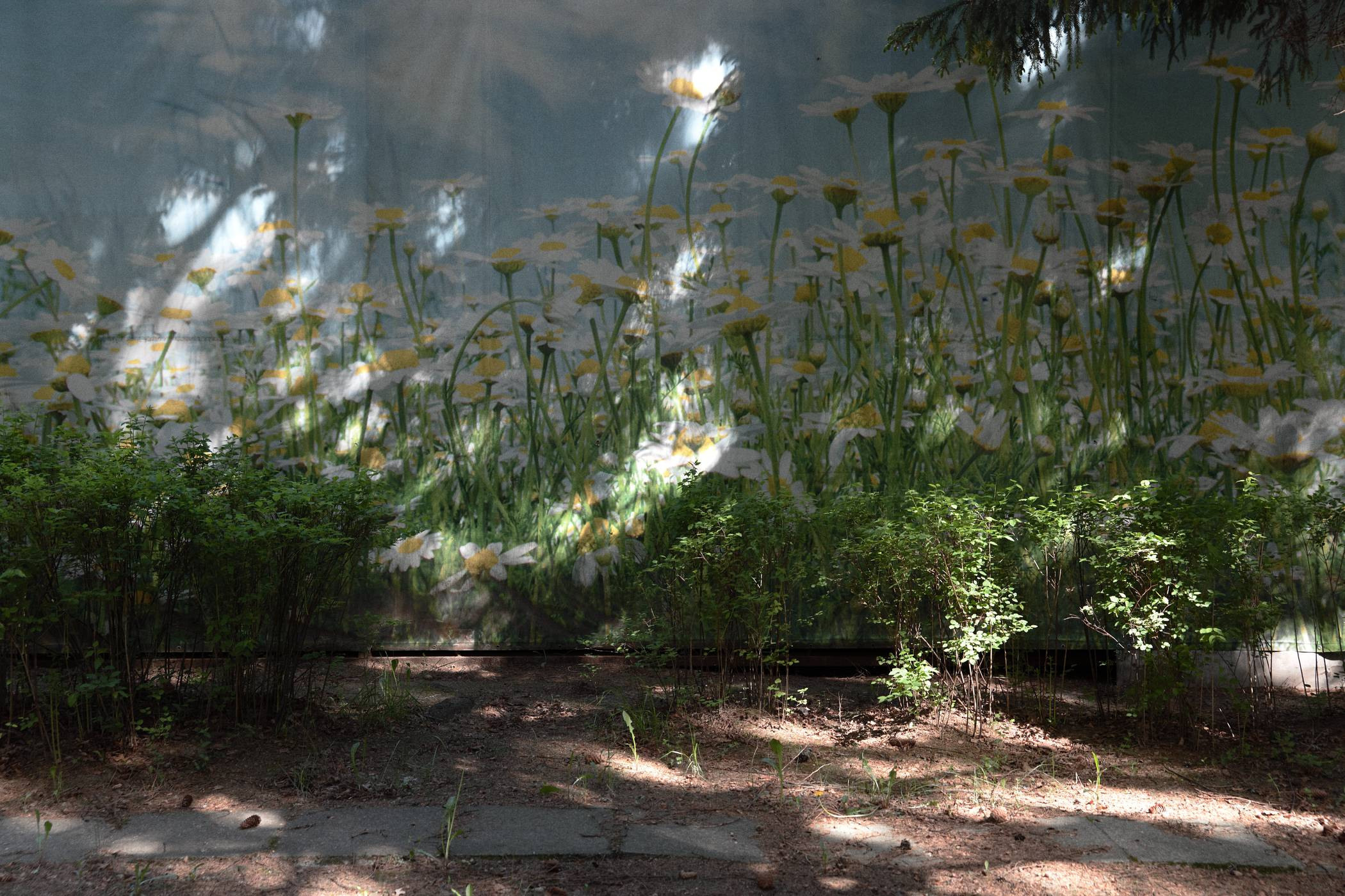 Окружение. Денис Паунин — Фотографии