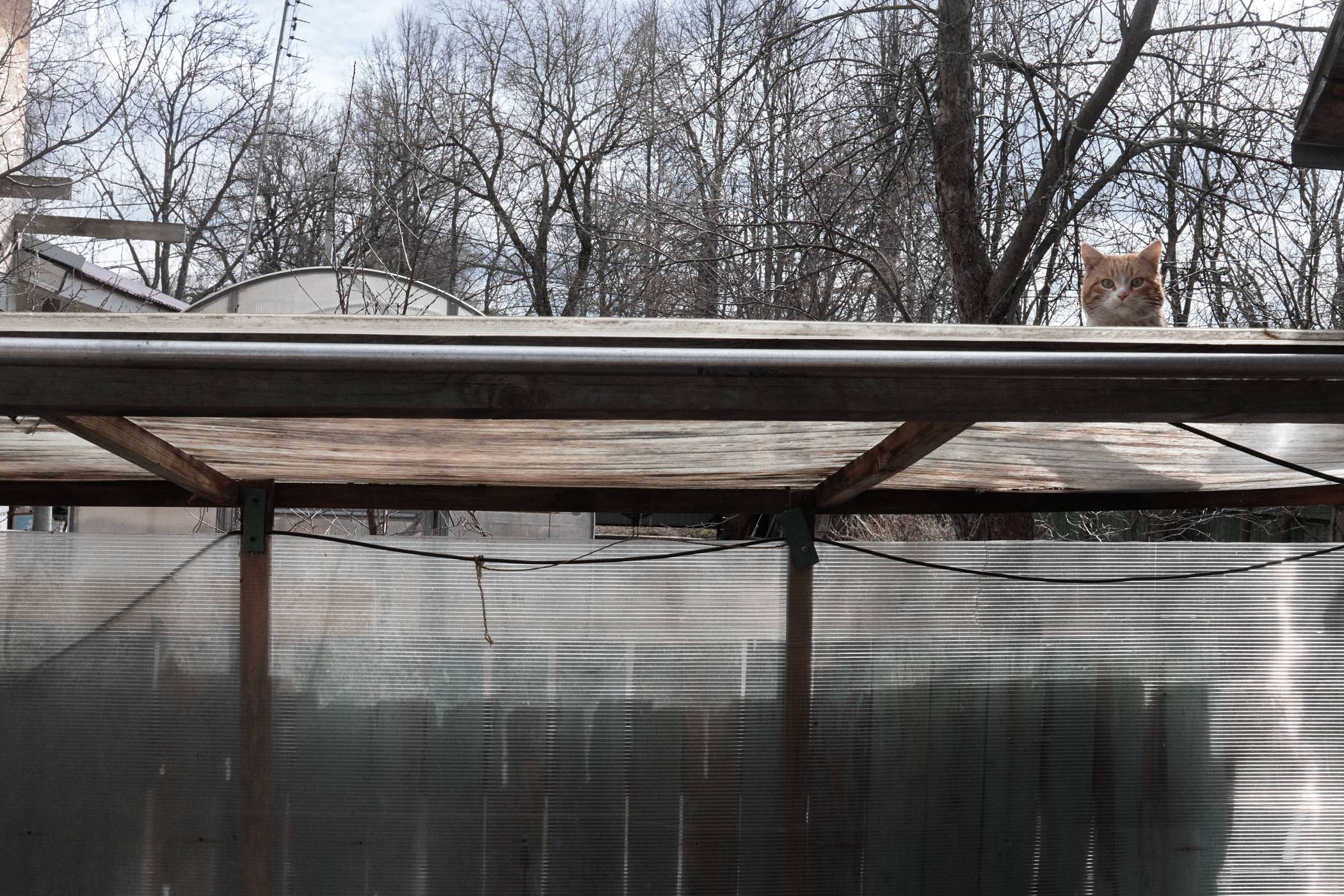 Окружение. Денис Паунин — Фотографии