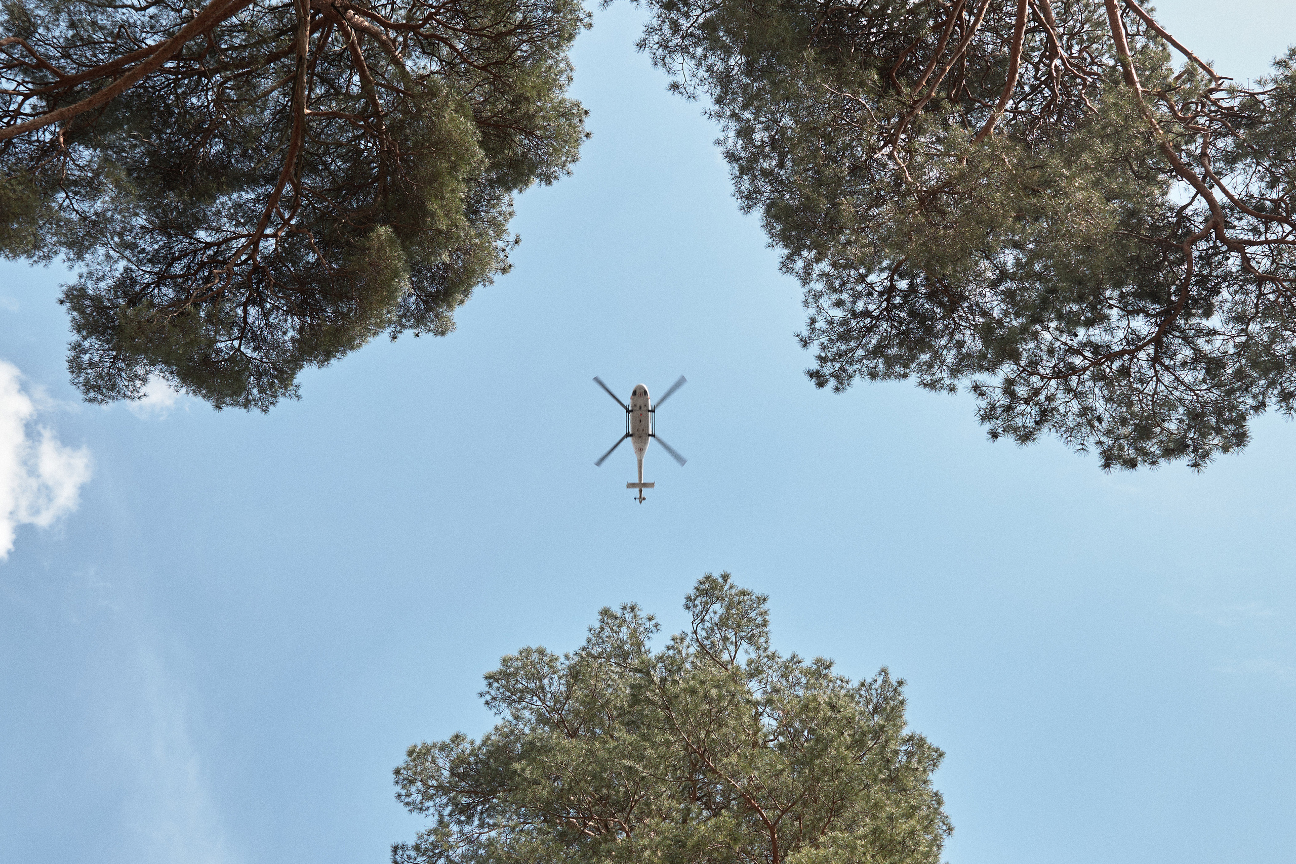 Окружение. Денис Паунин — Фотографии