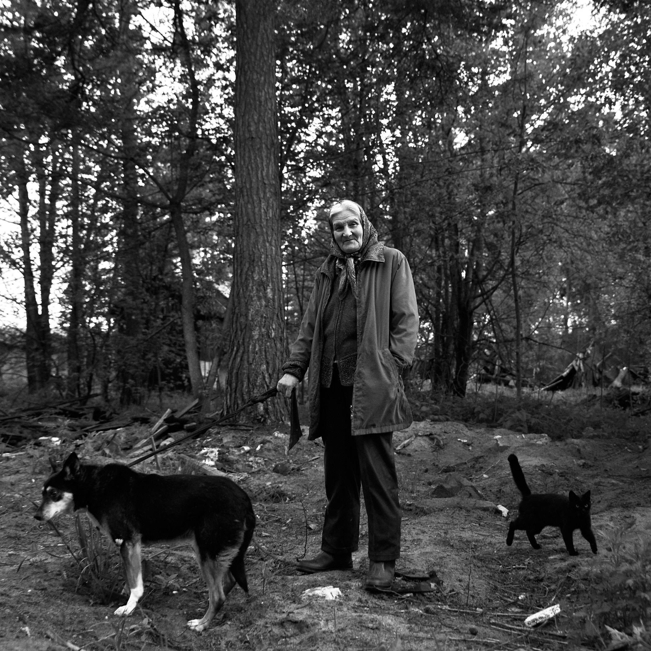 Денис Паунин — Фотографии